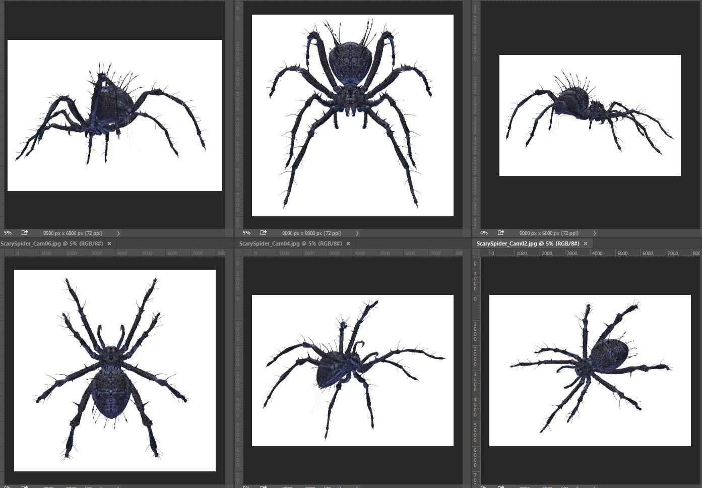 Wallpaper #k_RZOpMBKFX8bn3rE3j0264 Spider Scary Spider Transparent Background Png Clipart Hiclipart