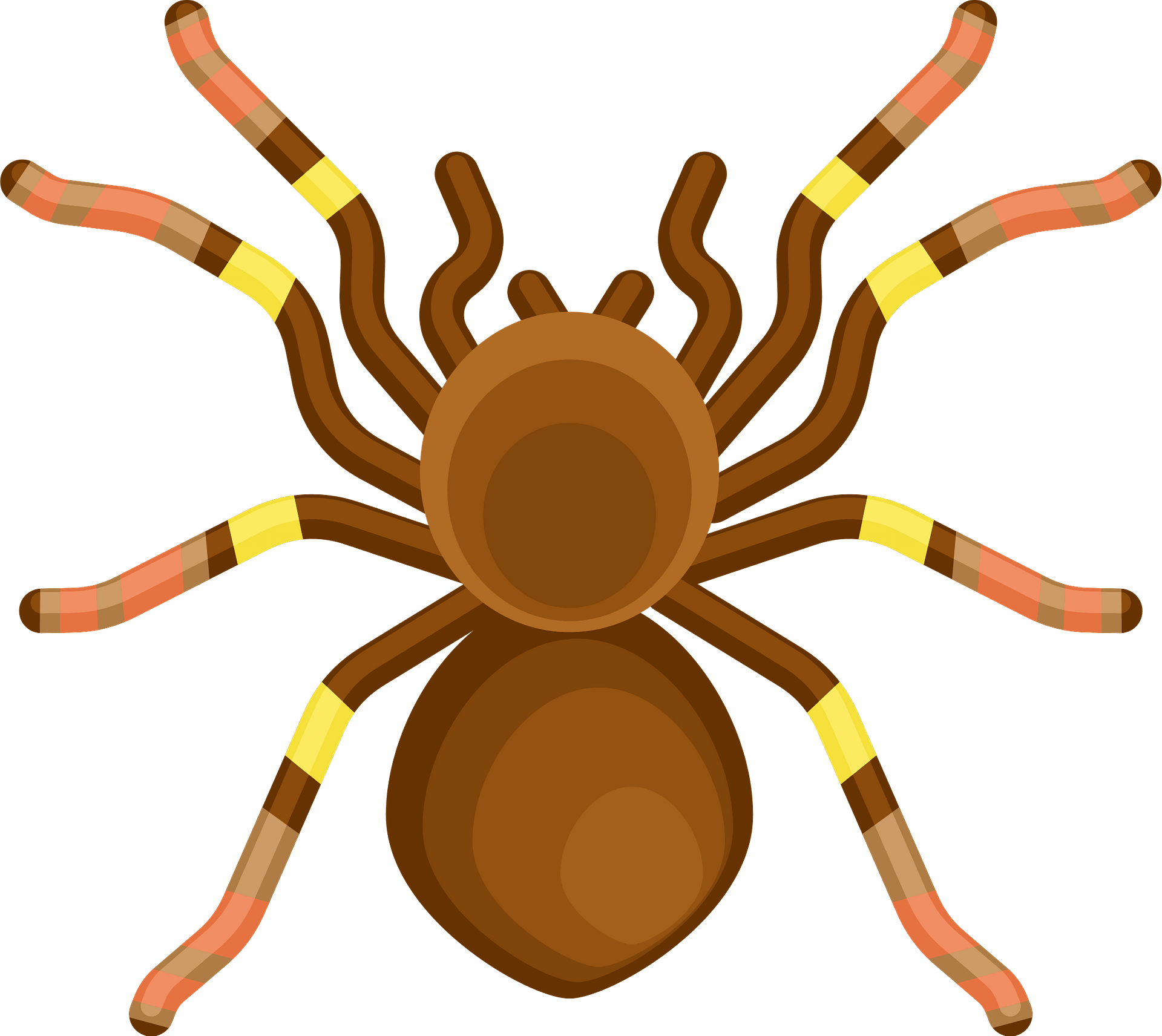 Wallpaper #k_RZOpMBKFX8bn3rE3j0155 Spiders Clip Art Library