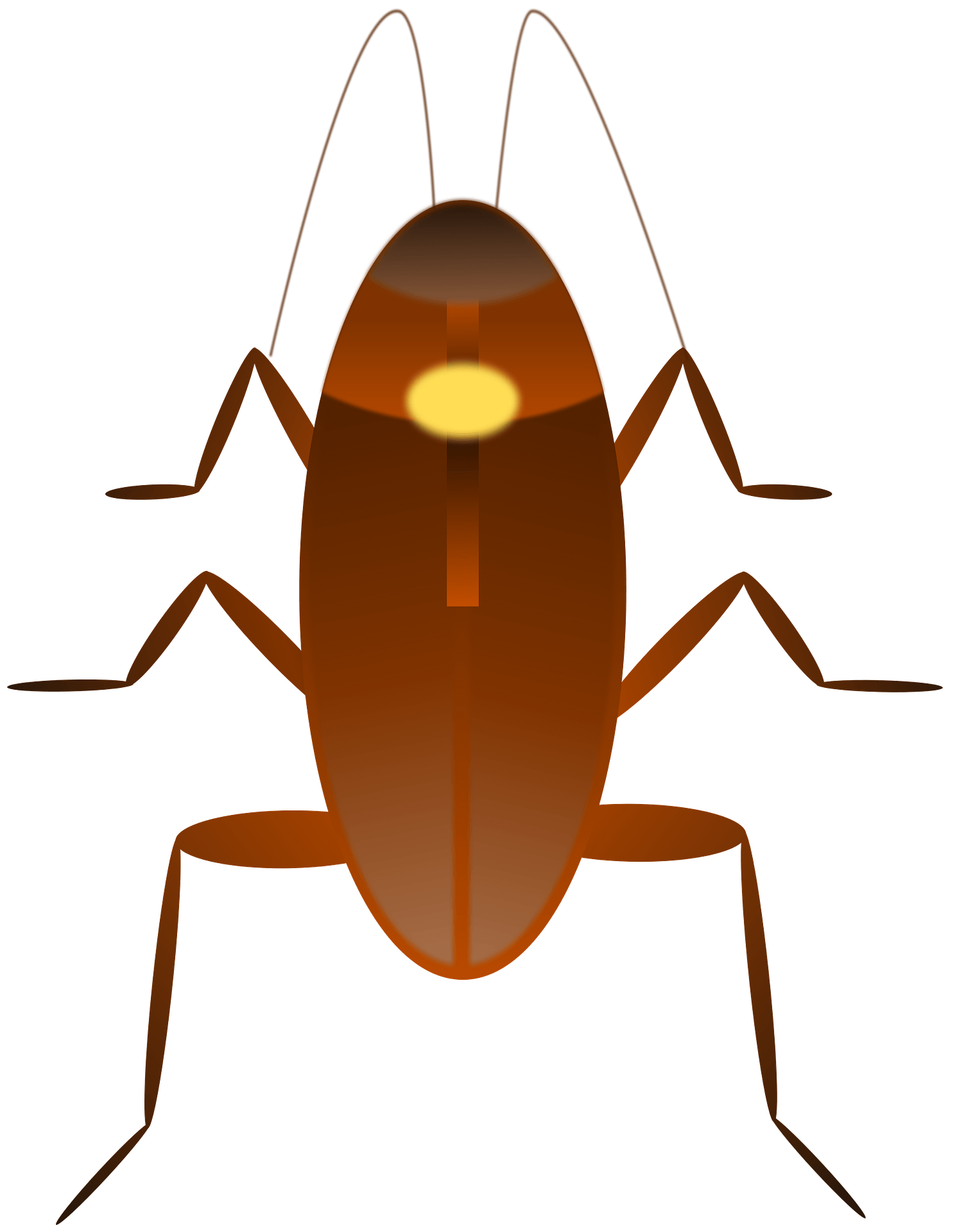 Wallpaper #SWdXCpMBSpphPi3-q9Qk193 Cockroach Color Clipart Vector Illustration Design 3235687 Vector