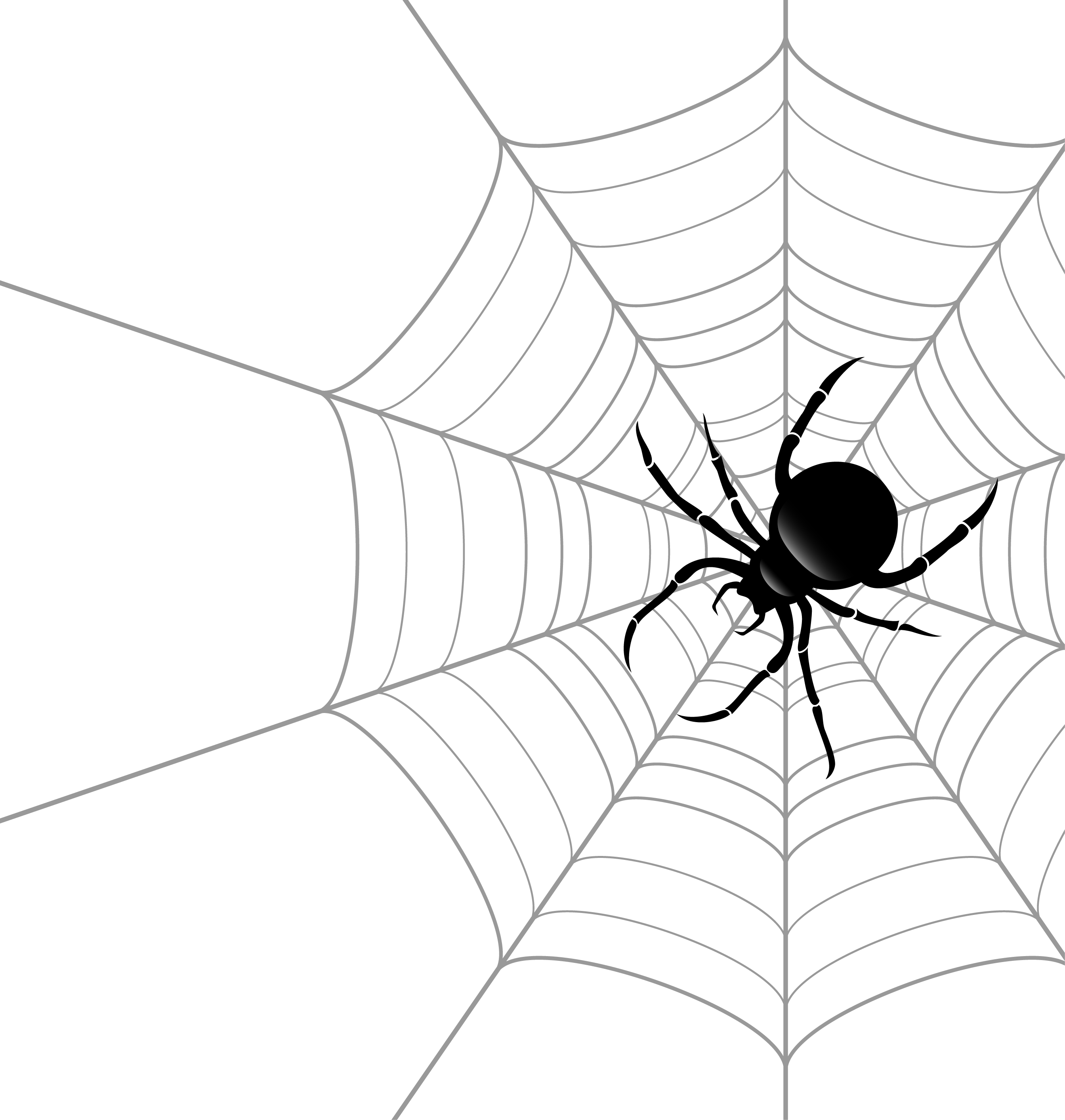 Wallpaper #IHd9JpMB-pgBXx606qKg5 Spider Web Transparent Png Stickpng Images
