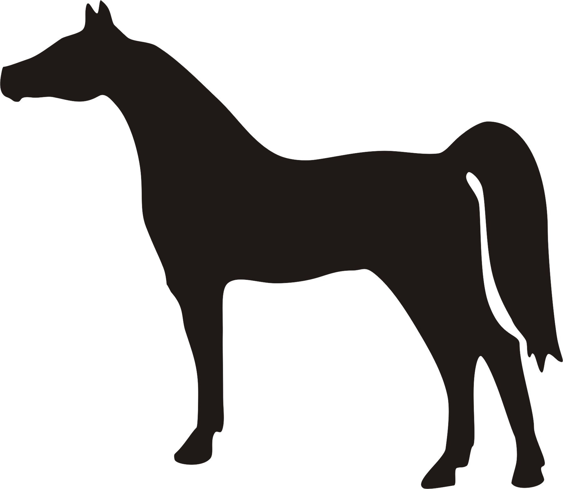 Wallpaper #8a32a Horse Head Silhouette Free Vector Silhouettes