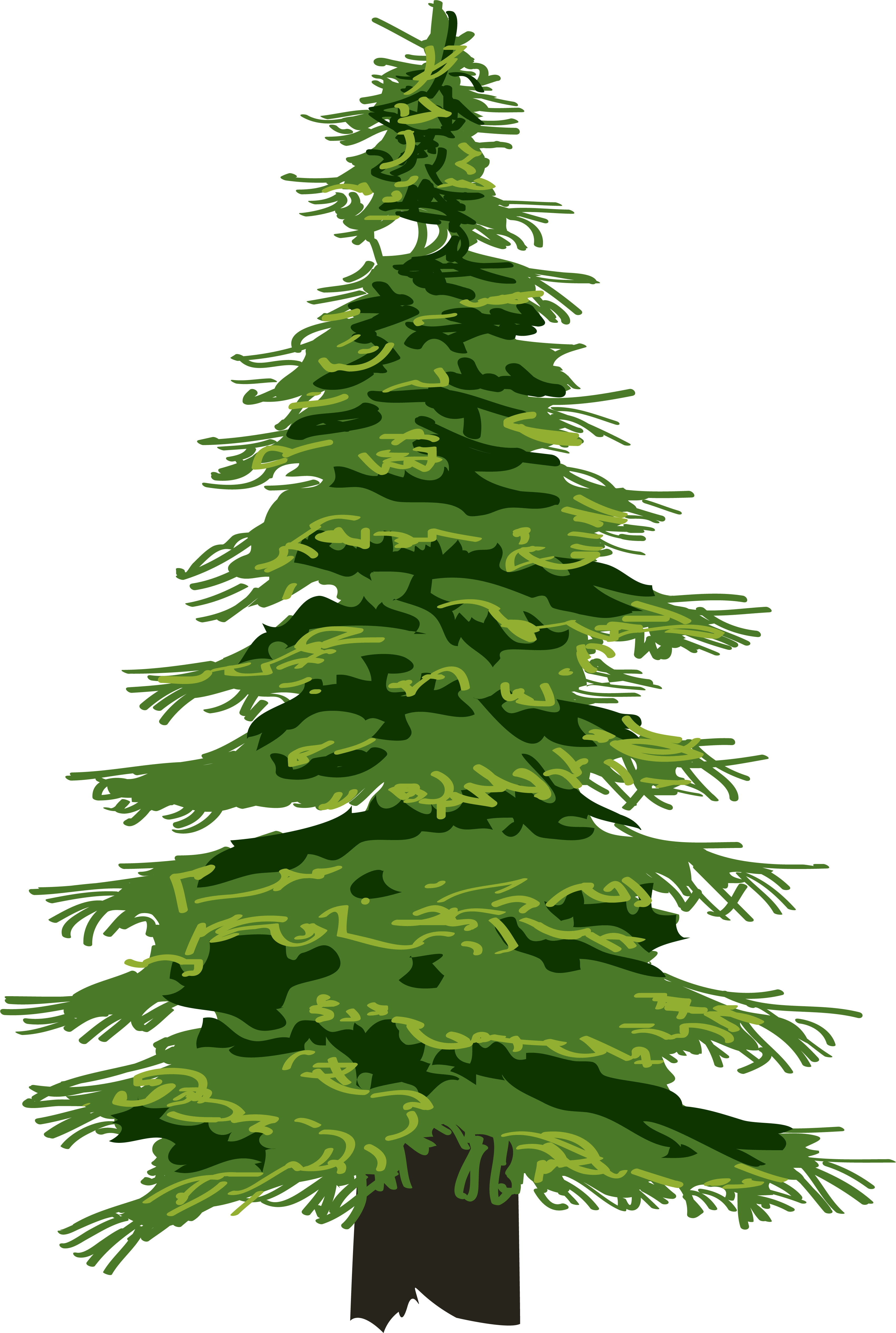 Wallpaper #BGdQC5MBSpphPi3-qtkV376 Pine Tree Evergreen Clip Art Christmas Tree Png Download 34015054