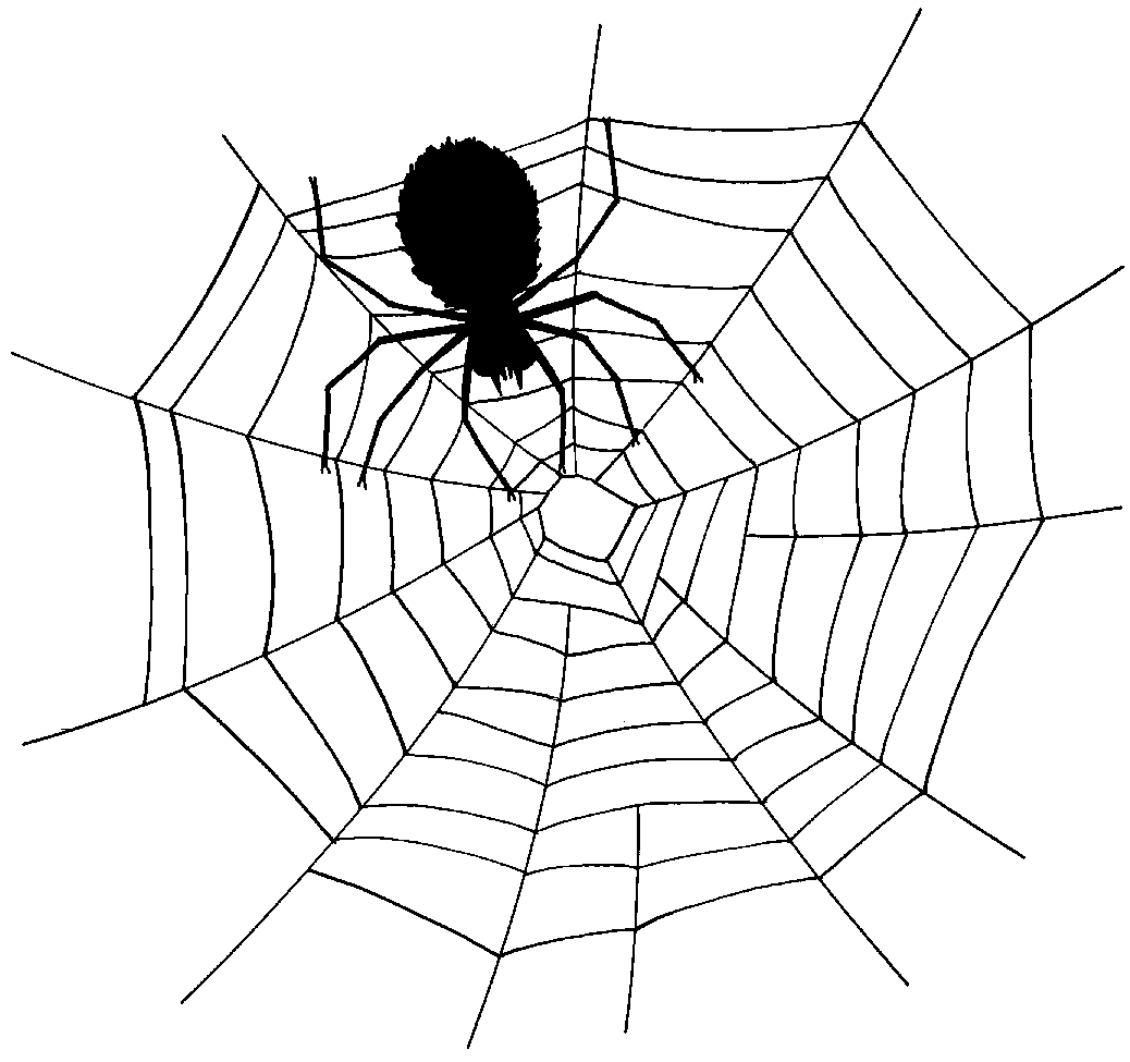 Wallpaper #F2jUHpMBSpphPi3-Fion257 Free Spiders Web Download Free Spiders Web Png Images Free Cliparts