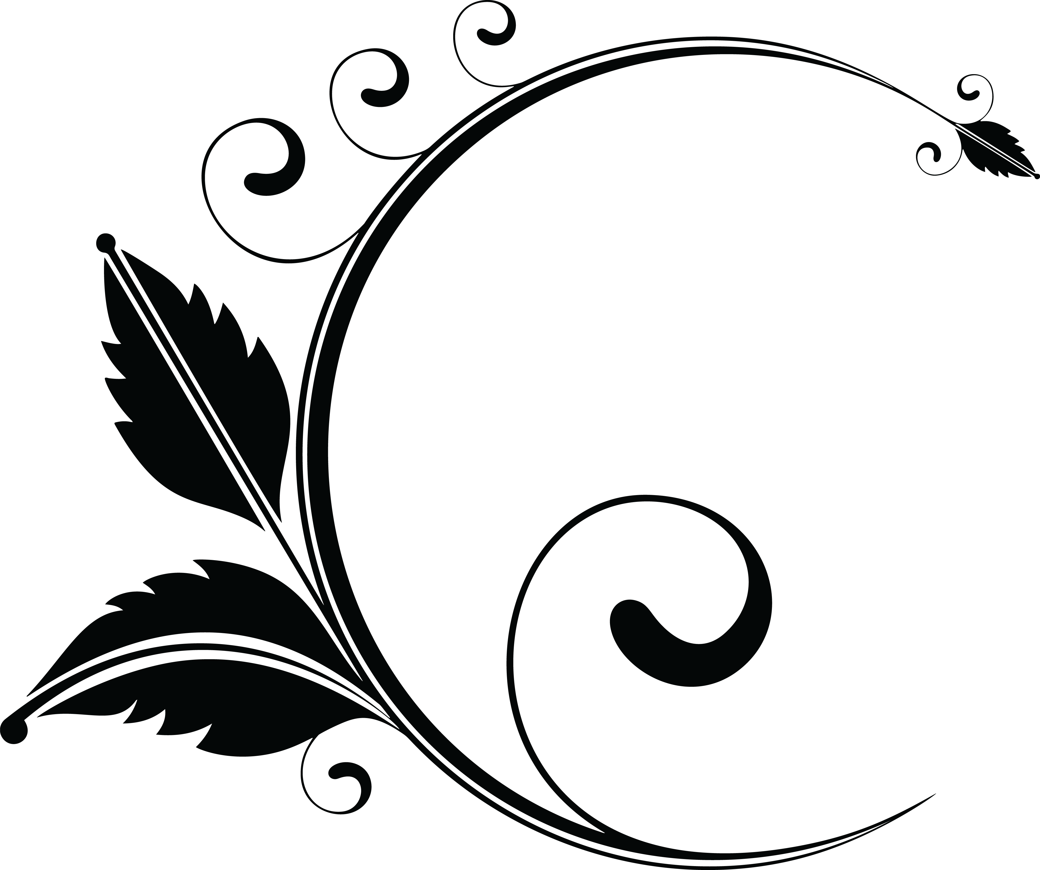Wallpaper #_GfkCpMBSpphPi3-CNYq185 Floral Design Flower Clip Art Layout Png Download 40003344 Free