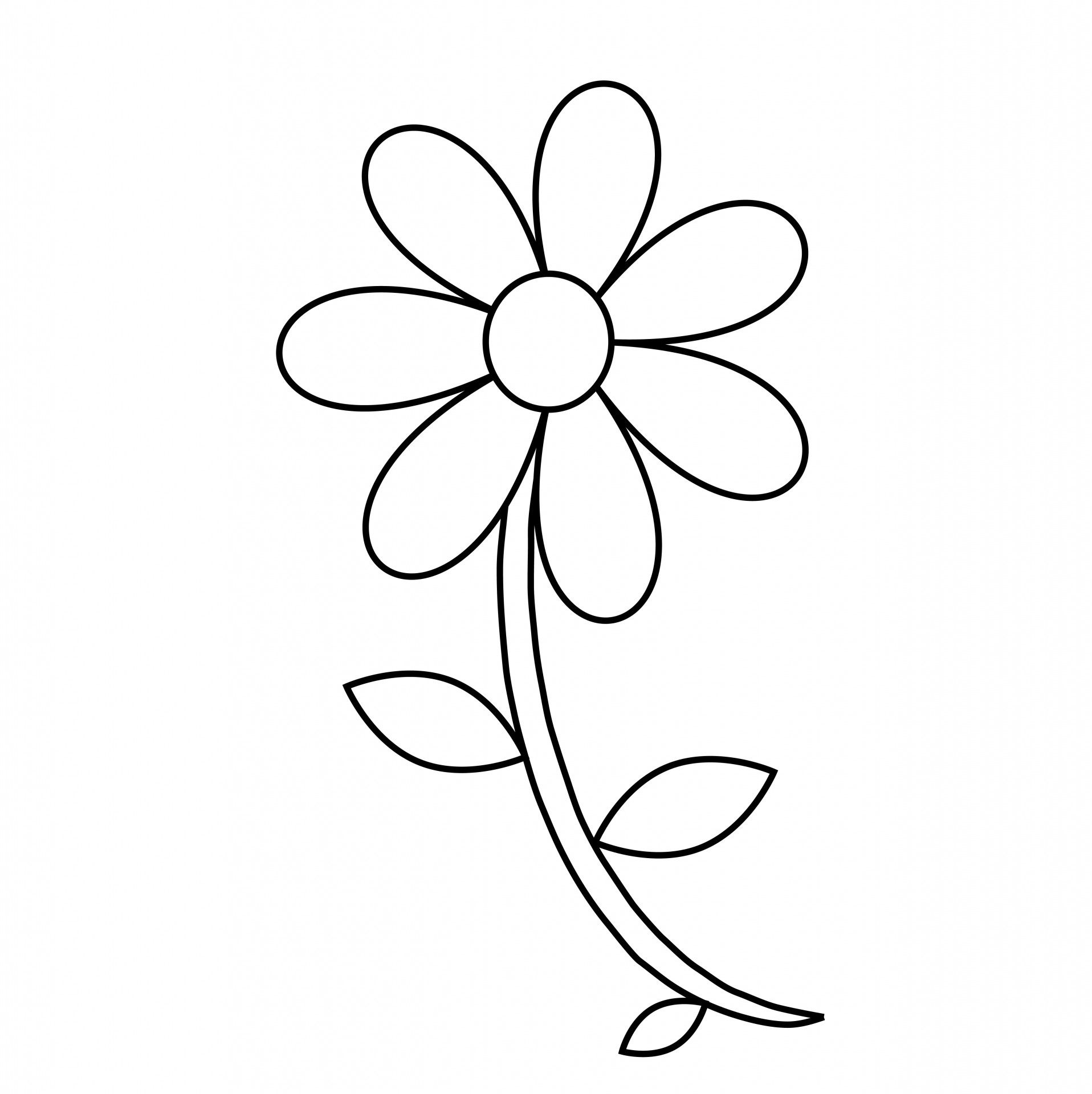 Wallpaper #8a759 Printable Downloadable Free Cricut Paper Flower Template