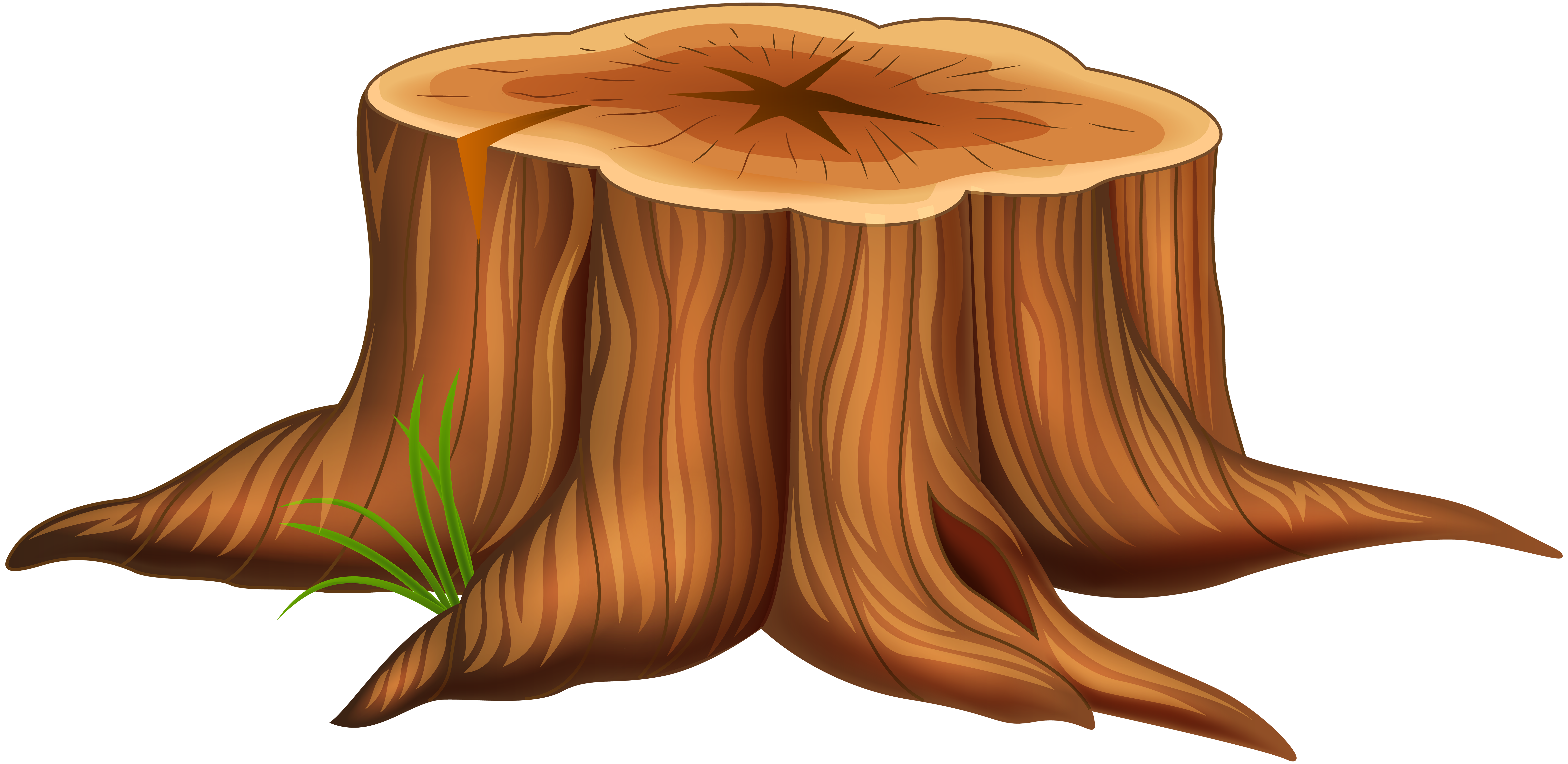 Wallpaper #9mdFCpMBSpphPi3-NNO0577 Cartoon Tree Stump Stump Tree Clipart Stumps Transparent Trees Clip