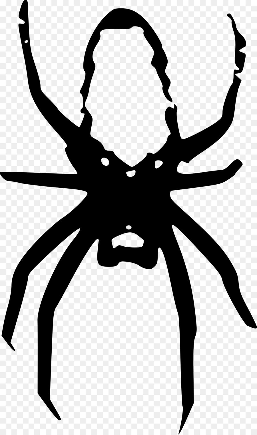 Wallpaper #71bf1 Pin by Kayleigh on Spider Drawings in 2024 Spiderman Drawing