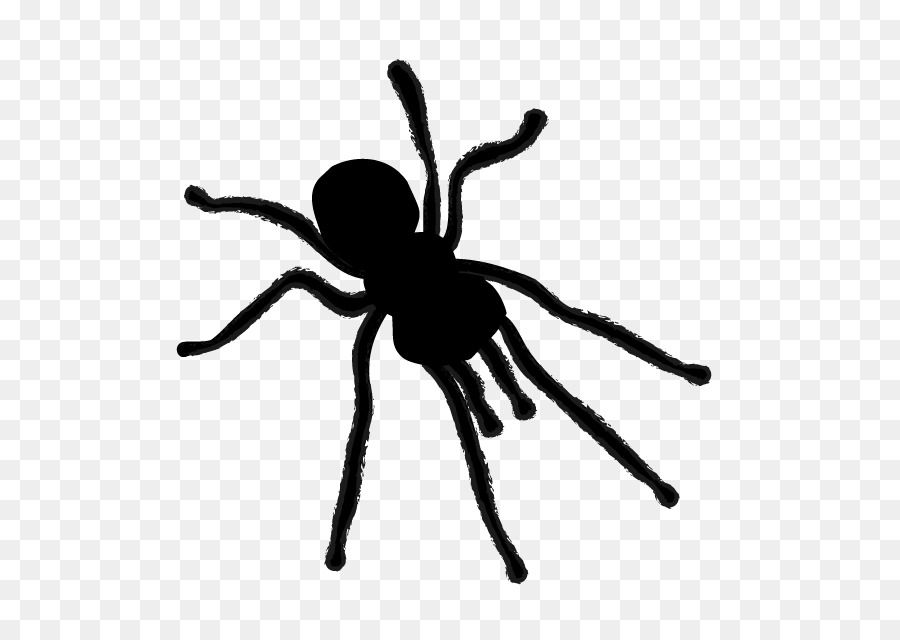 Wallpaper #71bf1 Pin by Kayleigh on Spider Drawings in 2024 Spiderman Drawing