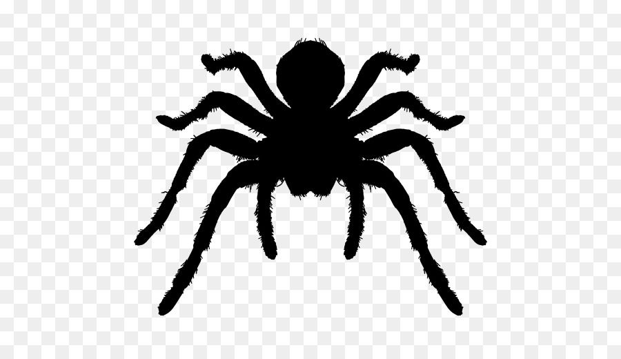 Wallpaper #71bf1 Pin by Kayleigh on Spider Drawings in 2024 Spiderman Drawing