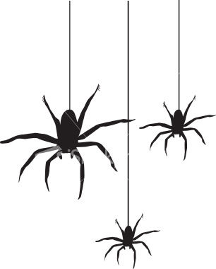 Wallpaper #71bf1 Pin by Kayleigh on Spider Drawings in 2024 Spiderman Drawing