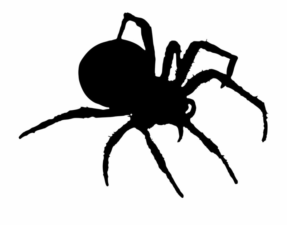 Wallpaper #71bf1 Pin by Kayleigh on Spider Drawings in 2024 Spiderman Drawing