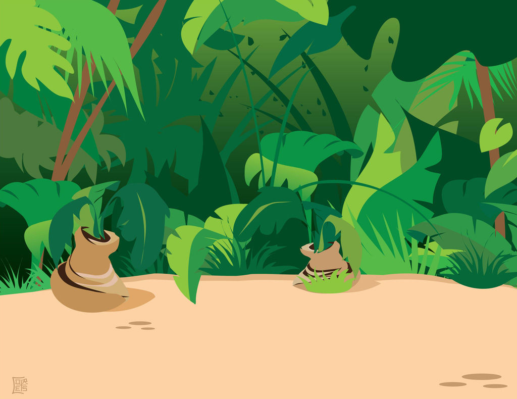 Wallpaper #03c4b Happy Jungle Safari Birthday Our Amhiraya Studio