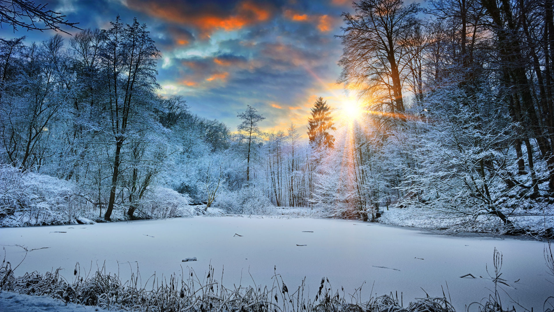 Wallpaper #yJyF4pIBZHQxiYarucCZ121 1920x1080 Sunbeams Landscape Snow in Winter Trees 4K Laptop Full HD