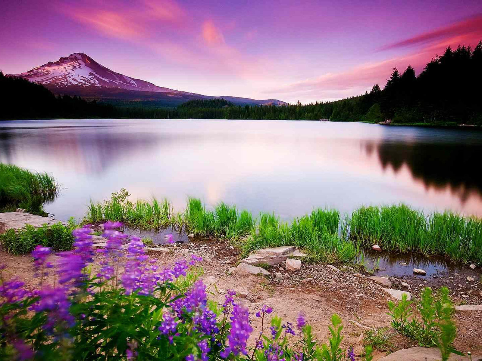 Wallpaper #fXfEJ5MB-pgBXx60HqfB348 1600x1200 Nature Scenery 1600x1200 Resolution HD 4K Wallpapers Images