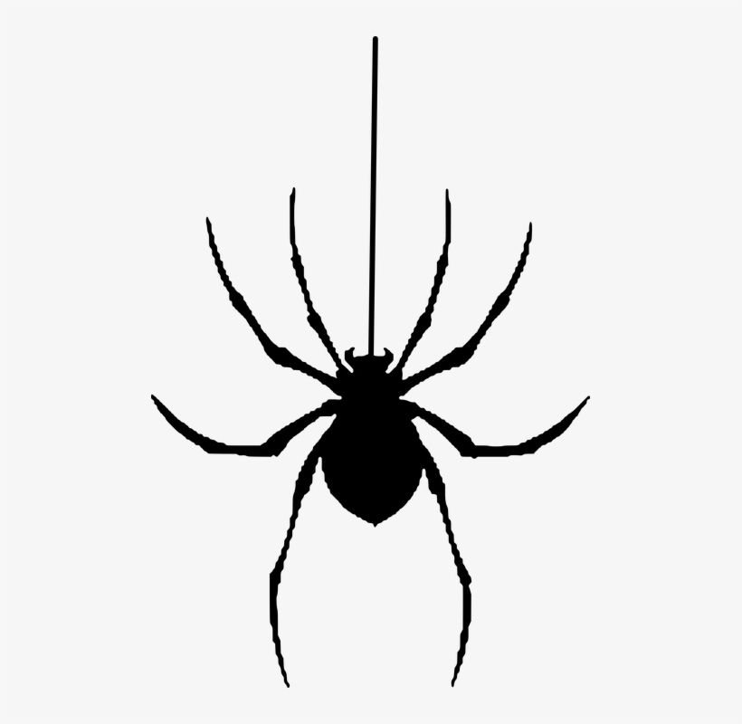 Wallpaper #71bf1 Pin by Kayleigh on Spider Drawings in 2024 Spiderman Drawing