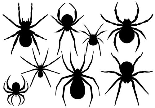 Wallpaper #71bf1 Pin by Kayleigh on Spider Drawings in 2024 Spiderman Drawing