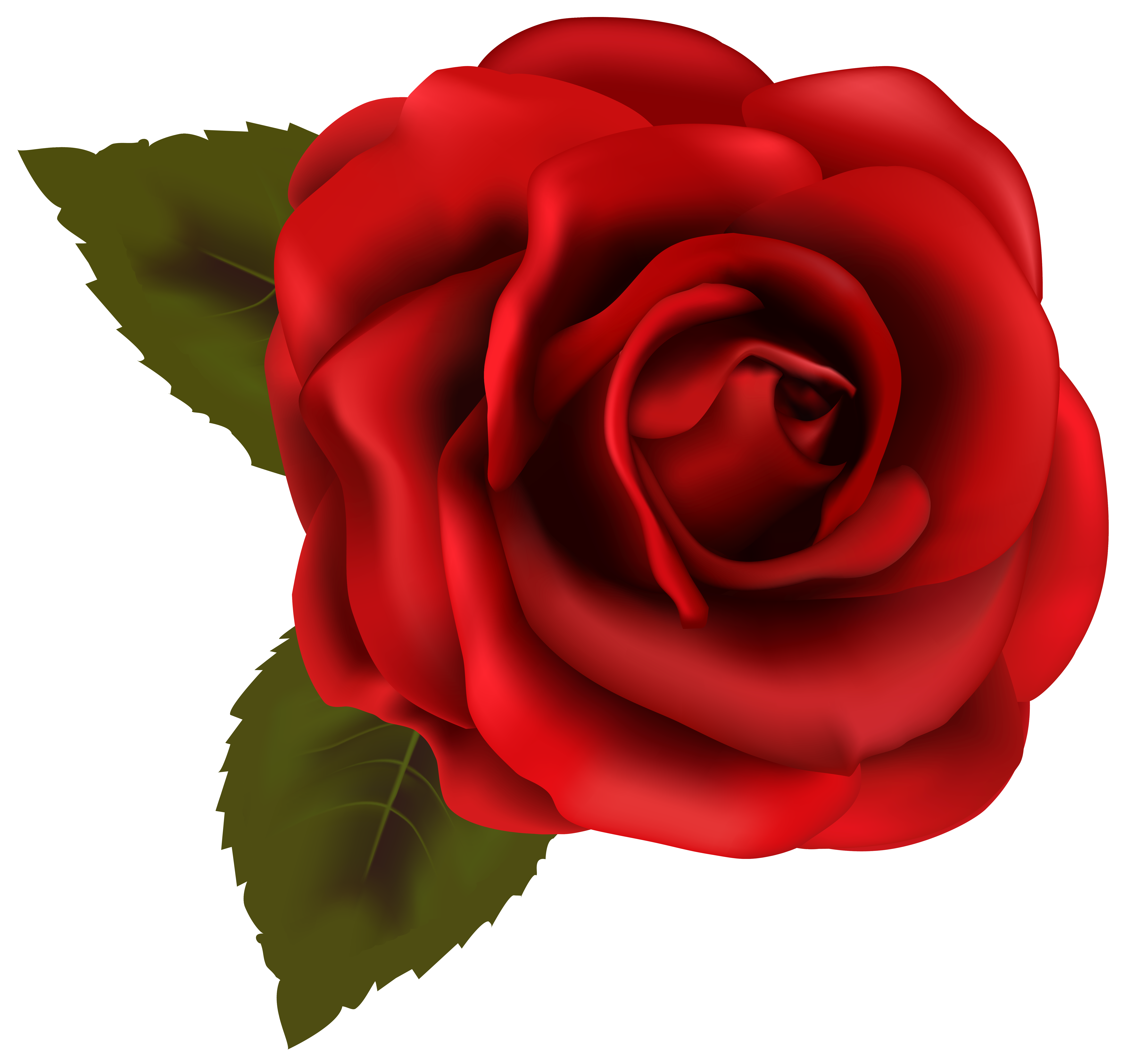 Wallpaper #-FZCd5cBsd6xcFiE6NnF187 Rose Clipart Transparent Background 20 Free Cliparts Download Images