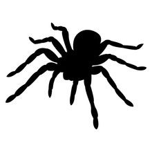 Wallpaper #71bf1 Pin by Kayleigh on Spider Drawings in 2024 Spiderman Drawing