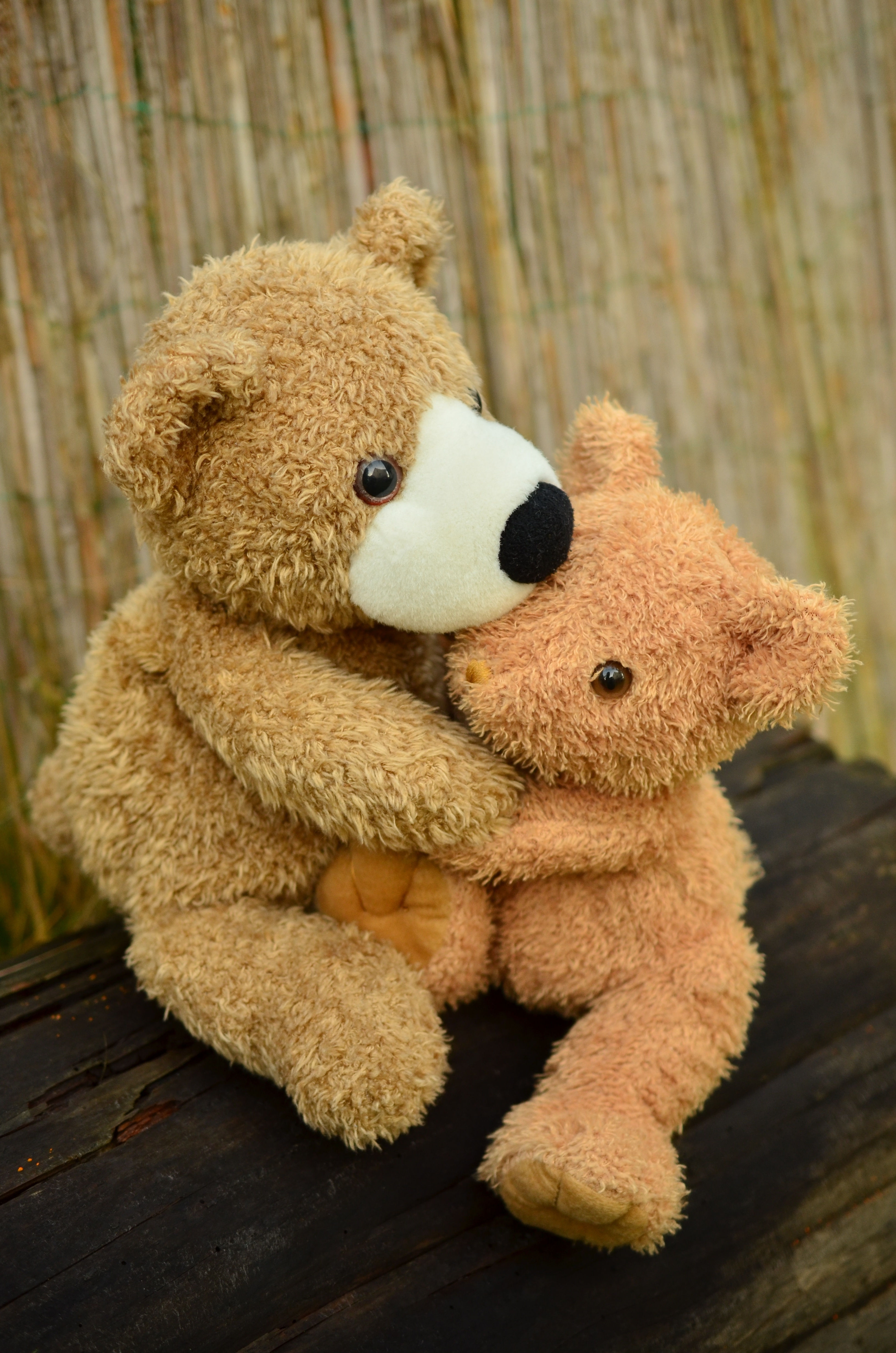 Wallpaper #3GcI-ZIBSpphPi3-g4to317 Free Images Sweet Love Friendship Teddy Bear Embrace Textile
