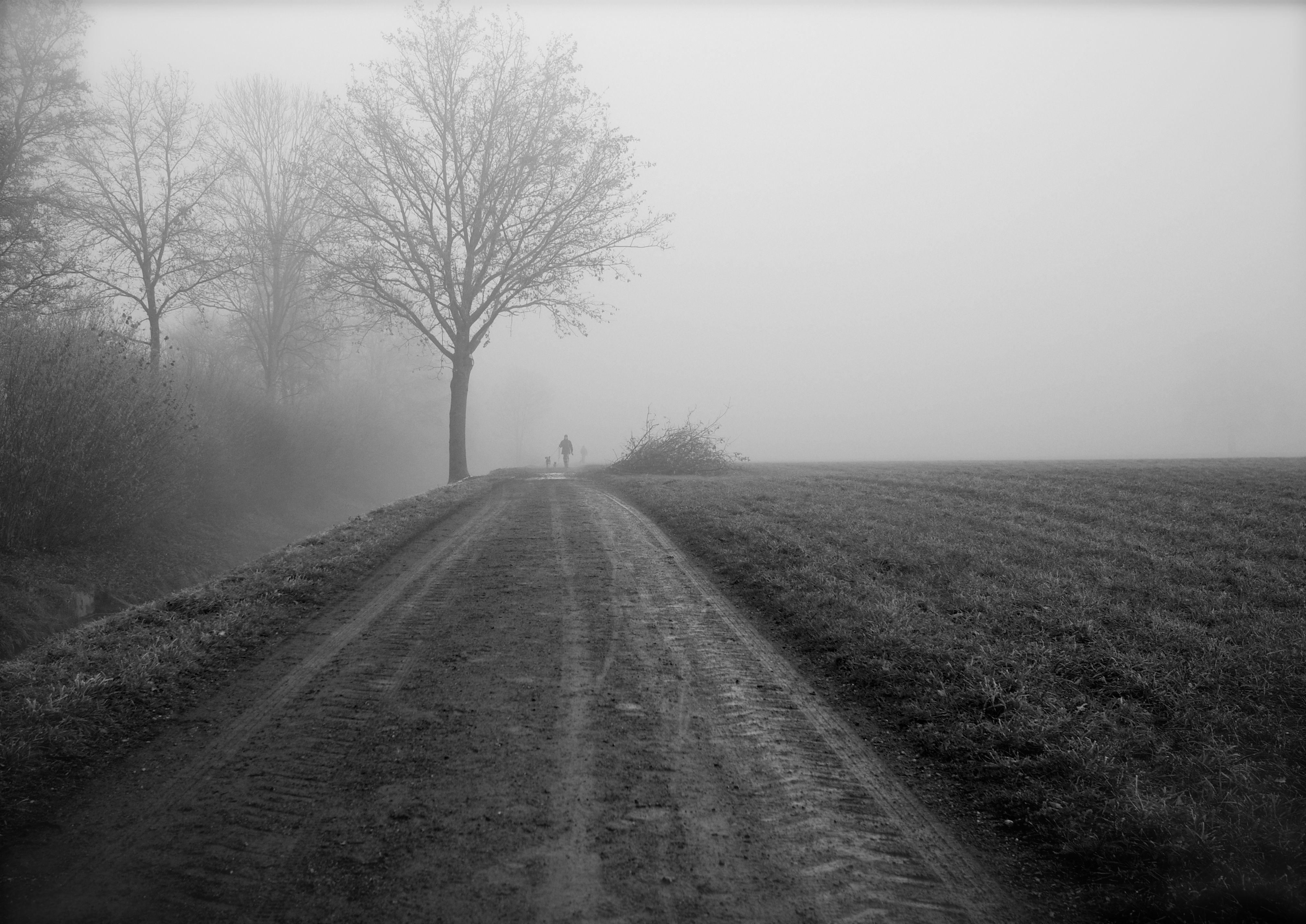 Wallpaper #xWekCpMBSpphPi3-09UJ344 Free Images Tree Snow Winter Black and White People Fog Road