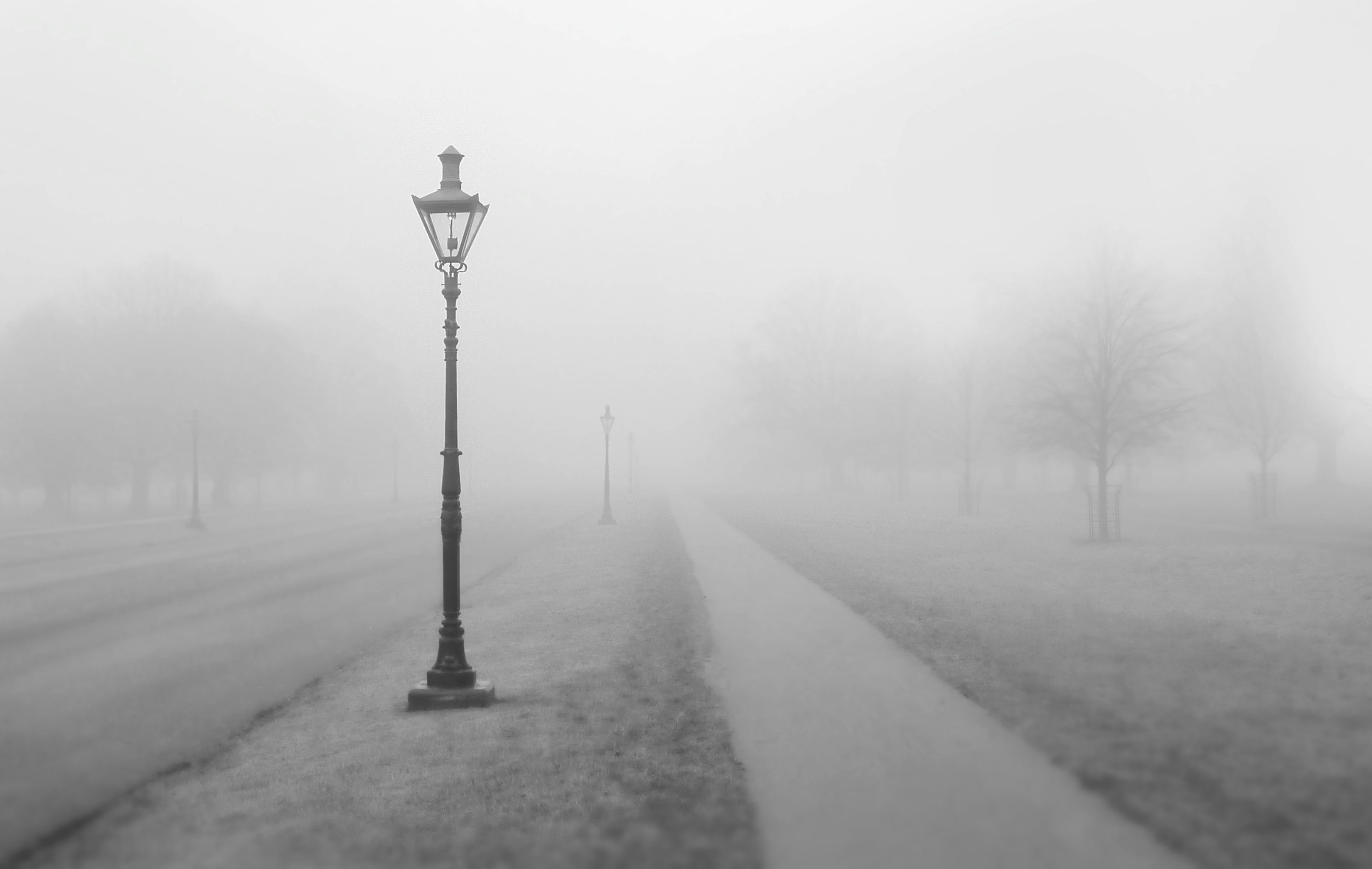 Wallpaper #xWekCpMBSpphPi3-09UJ369 Free Images Tree Snow Black and White Fog Mist Morning Sidewalk
