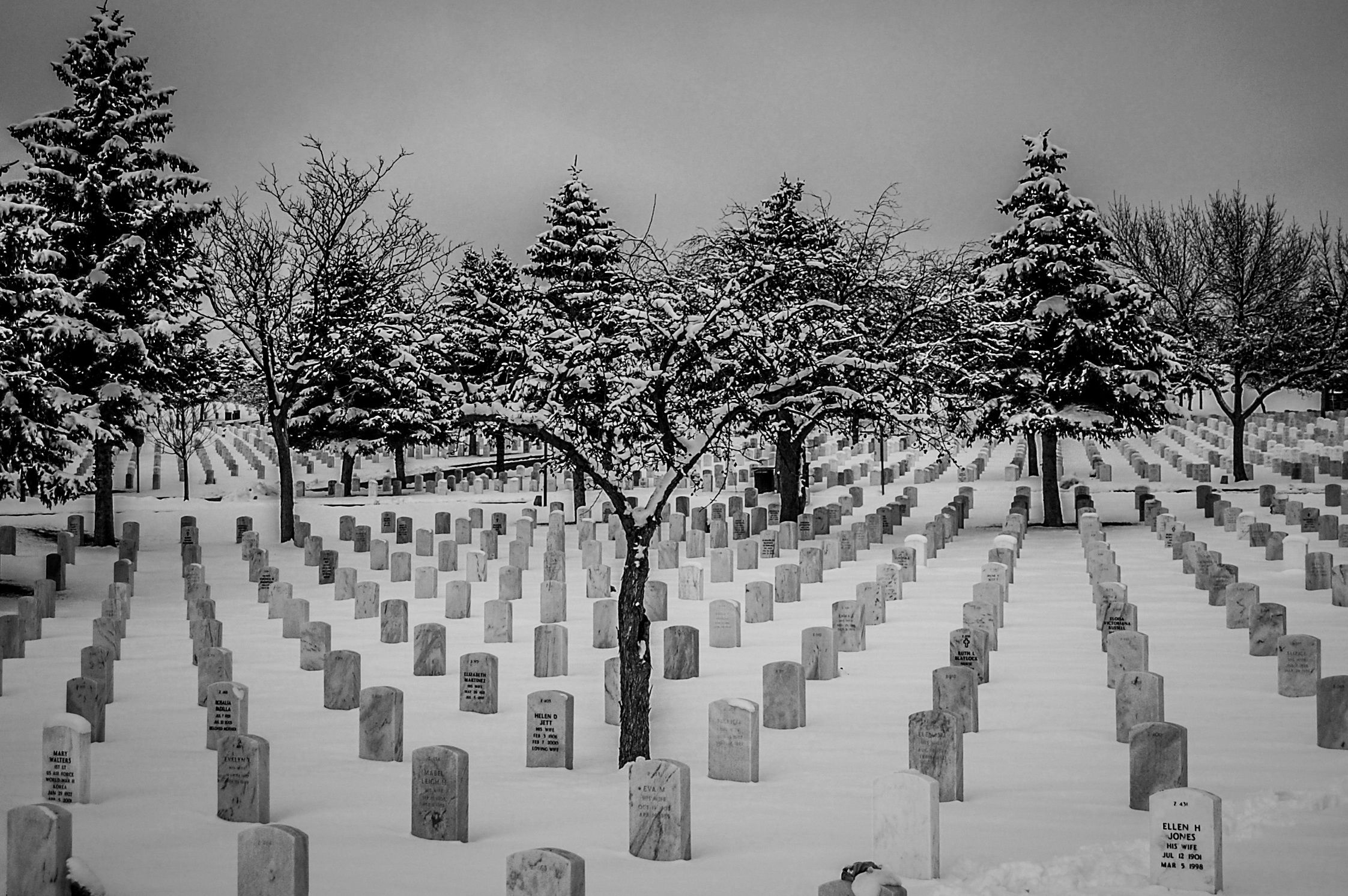 Wallpaper #xWekCpMBSpphPi3-09UJ365 Free Images Tree Snow Winter Black and White Weather Cemetery