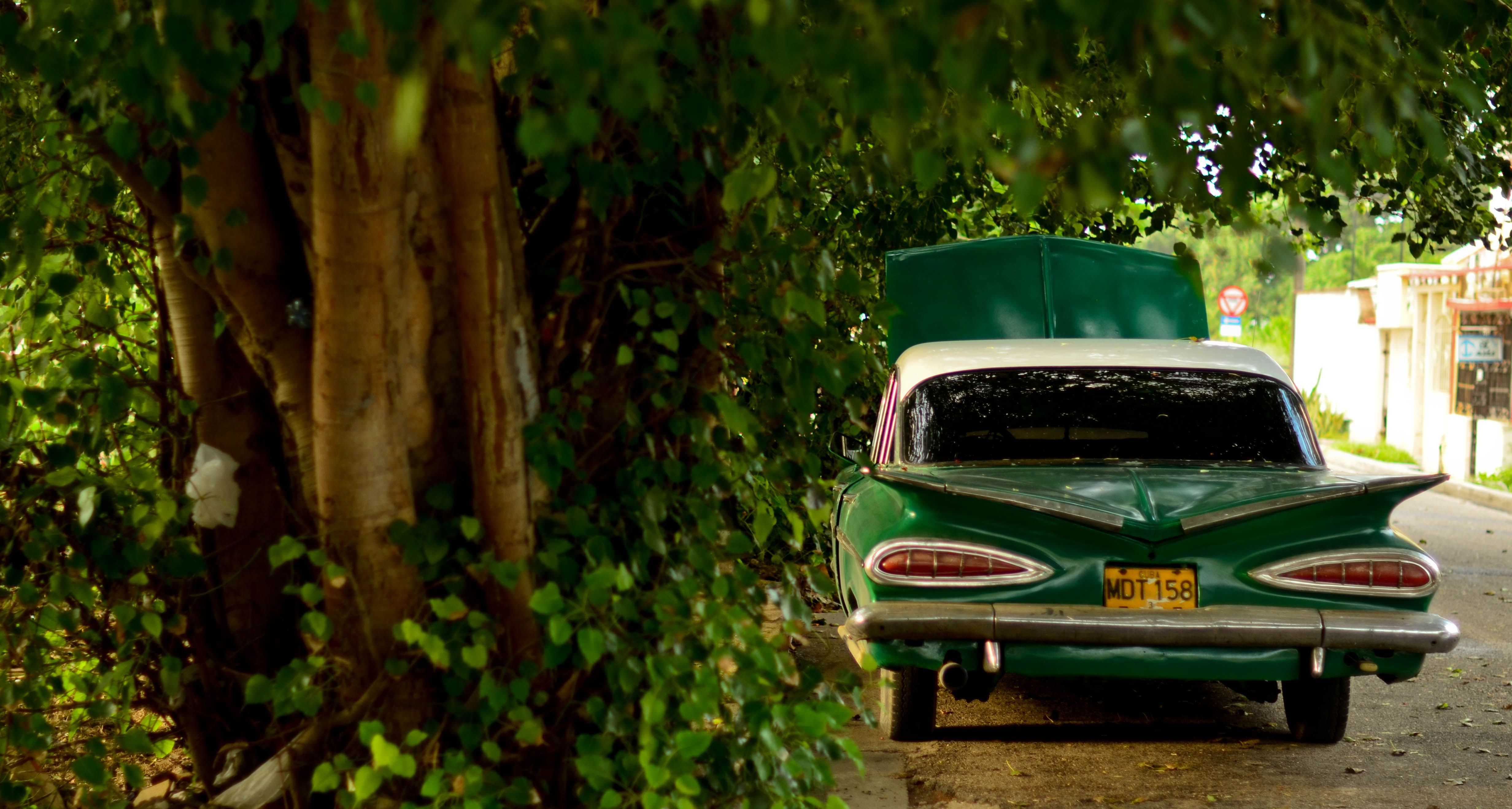 Wallpaper #rWgUHJMBSpphPi3-8SFd318 Prints Art Collectibles Tree Stumps House Autumn Classic Car Old