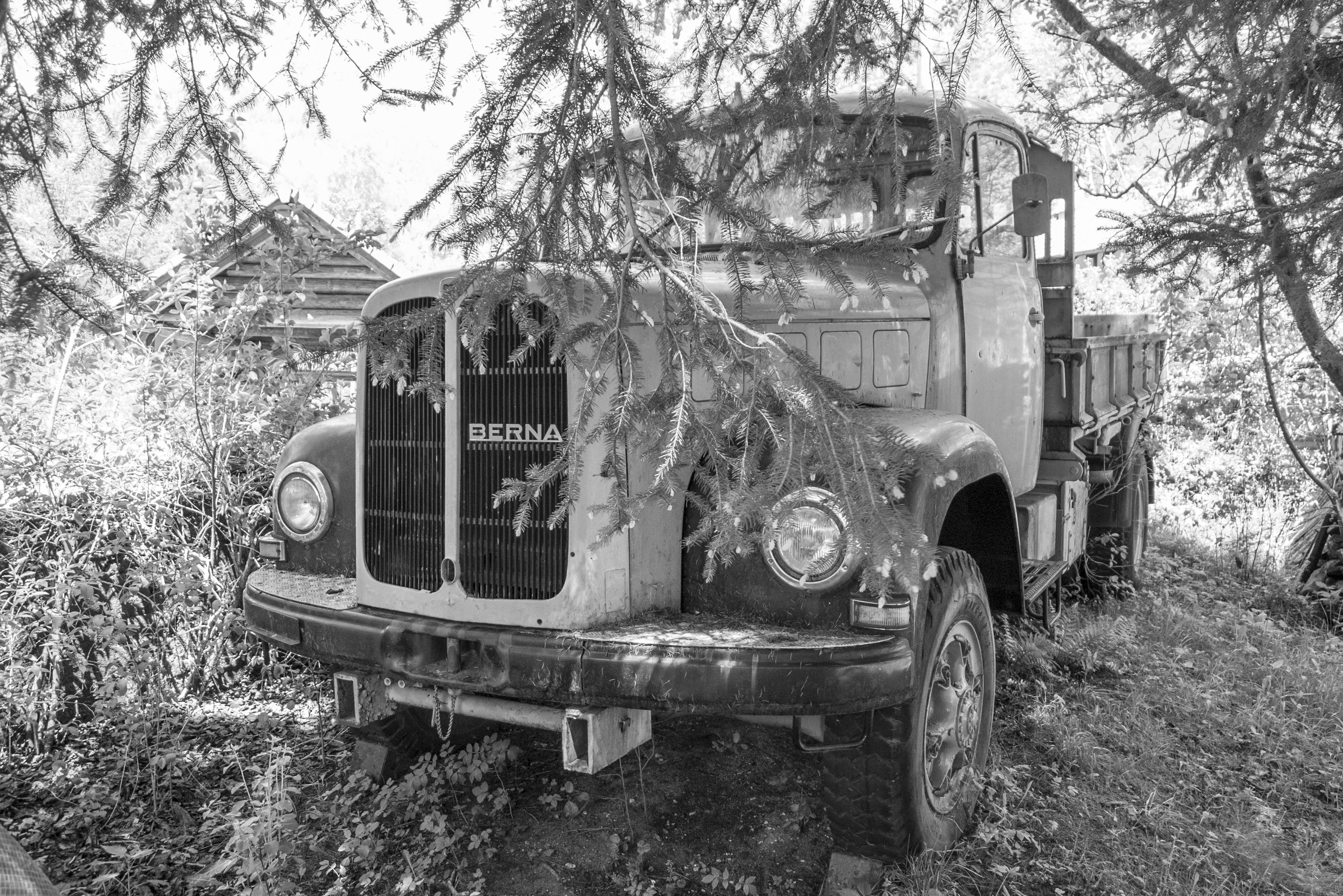 Wallpaper #5We565IBSpphPi3-V00y285 Free Images Black and White Retro Jeep Transport Bush Vintage