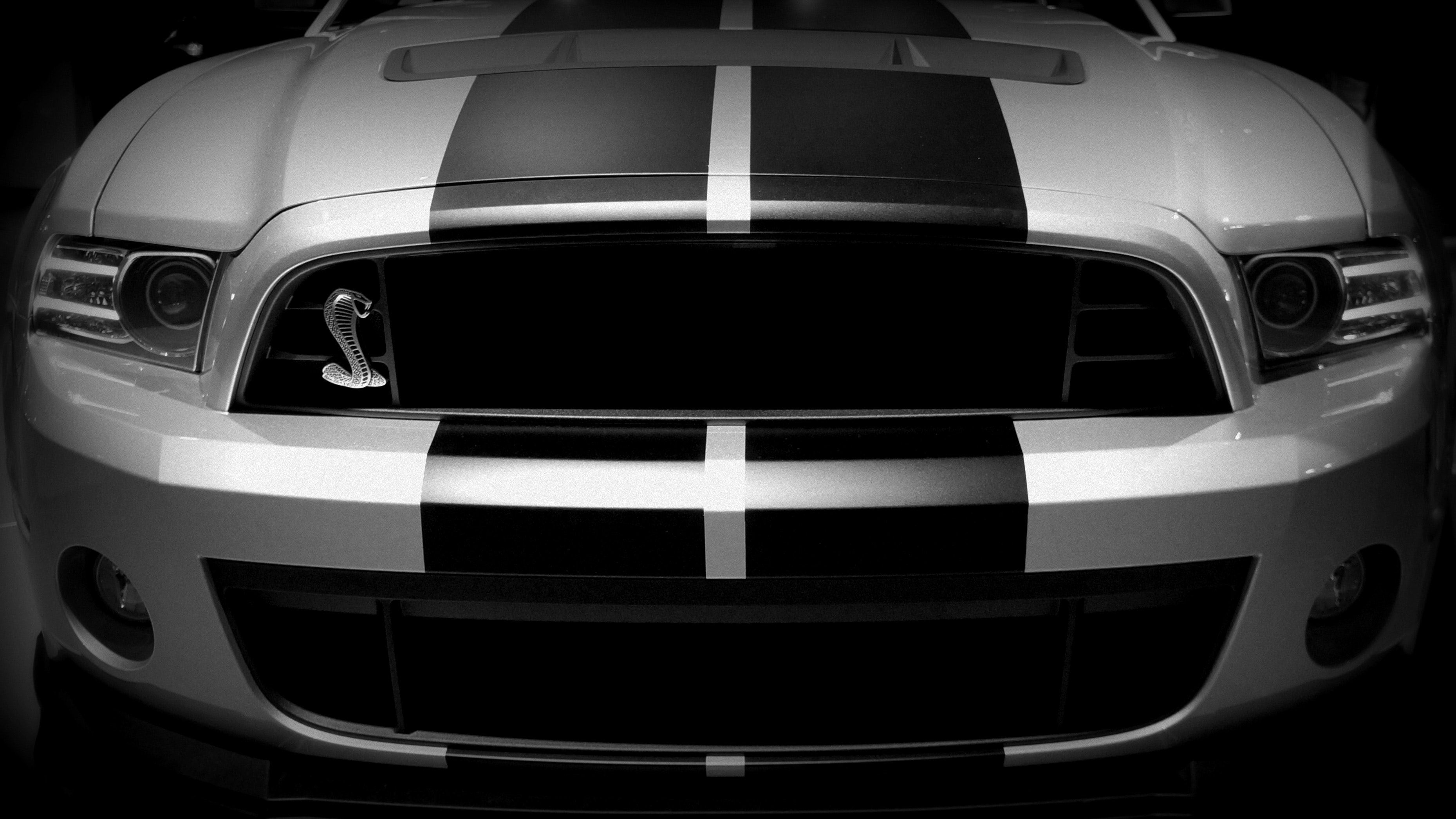 Wallpaper #dNdPMpMB4Oq-IITvFjax354 Free Images Land Vehicle Hood Shelby Mustang Headlamp Automotive