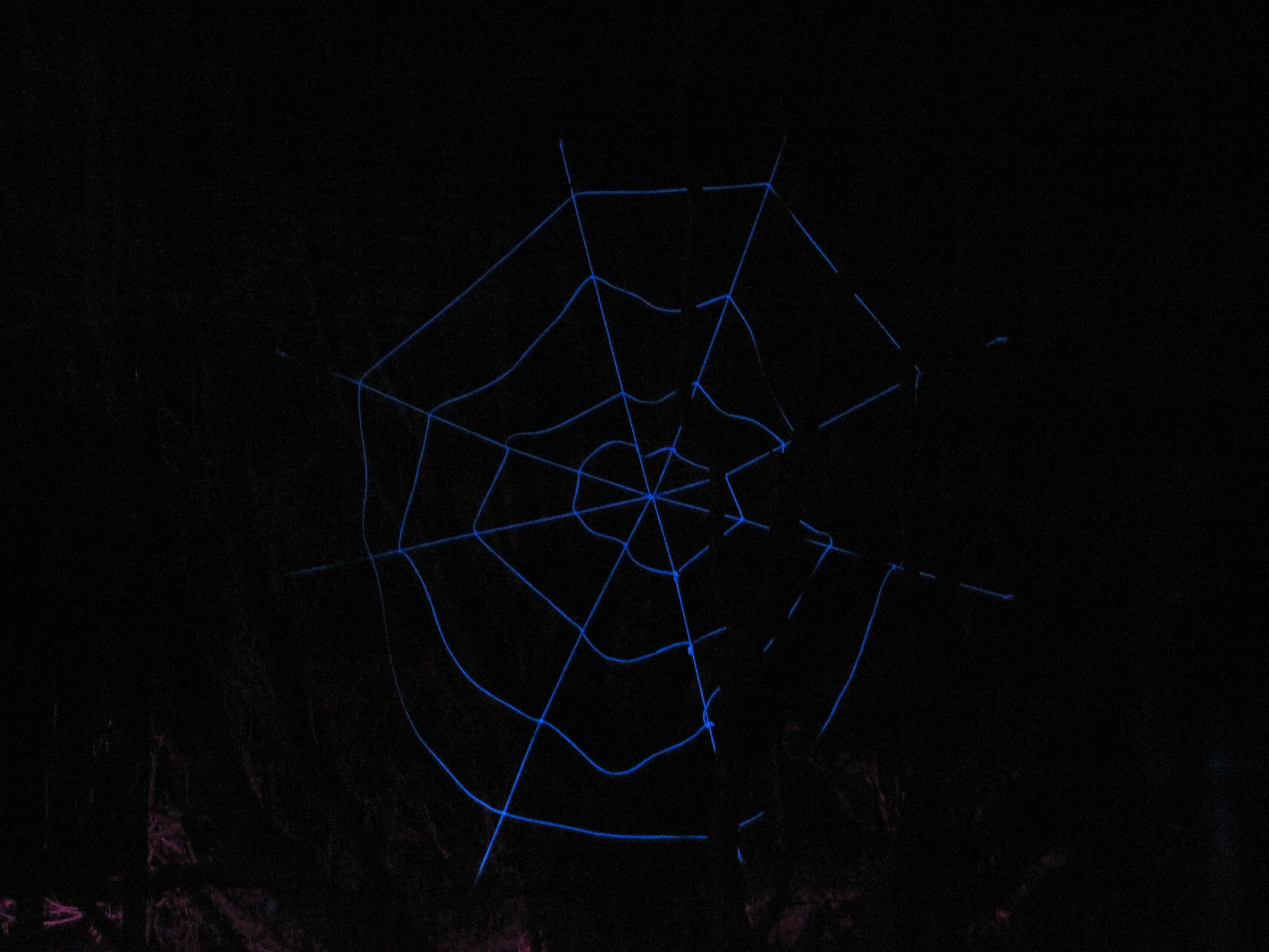 Wallpaper #zpwf4pIBZHQxiYarj74D383 Free Images Star Line Darkness Invertebrate Spider Web Cobweb