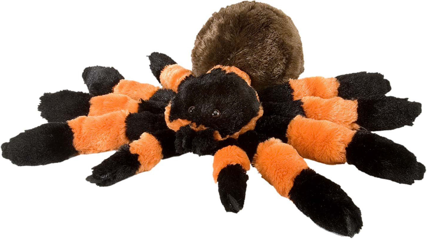 Wallpaper #3PQROpMBKFX8bn3rnHfv357 Tarantula Stuffed Animal 12 Grandrabbits Toys in Boulder Colorado