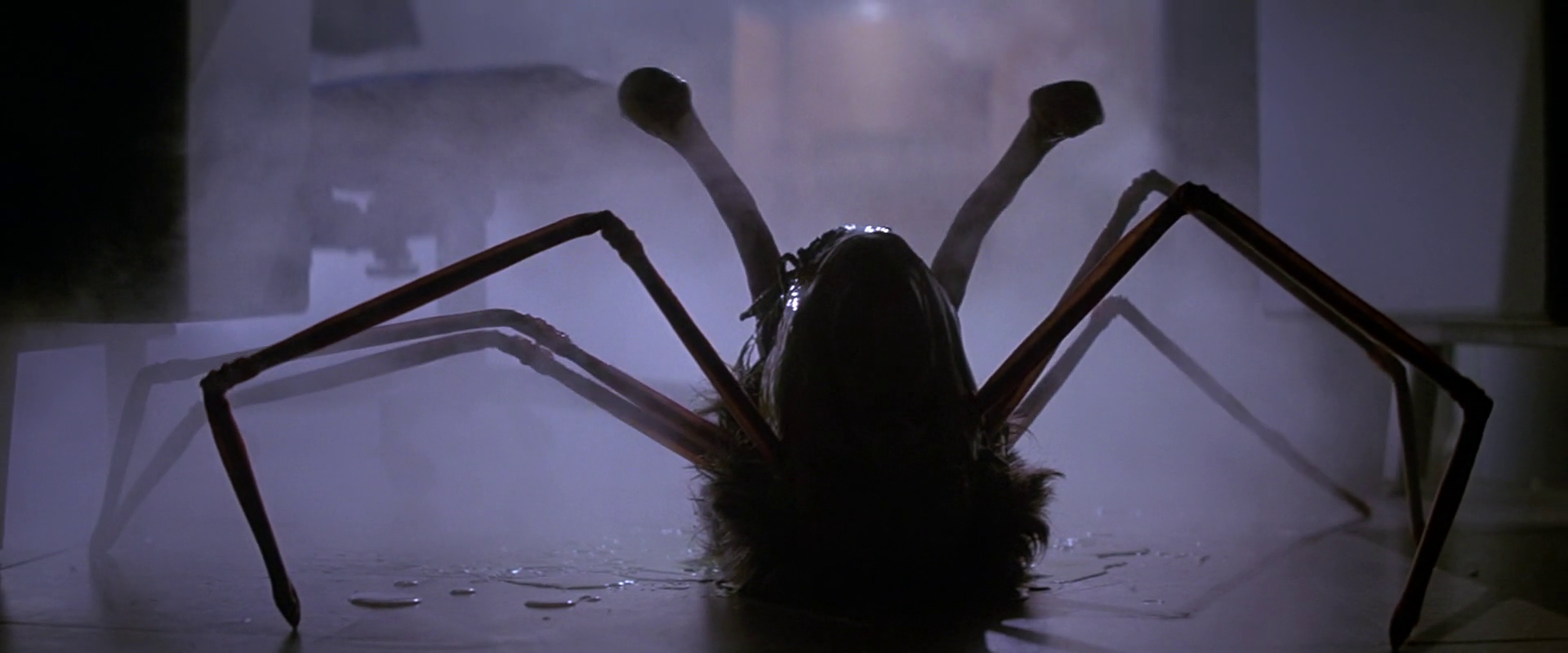 Wallpaper #fULzPJMBOBpx0NhmUcKW394 Head Spider the Thing Fandom