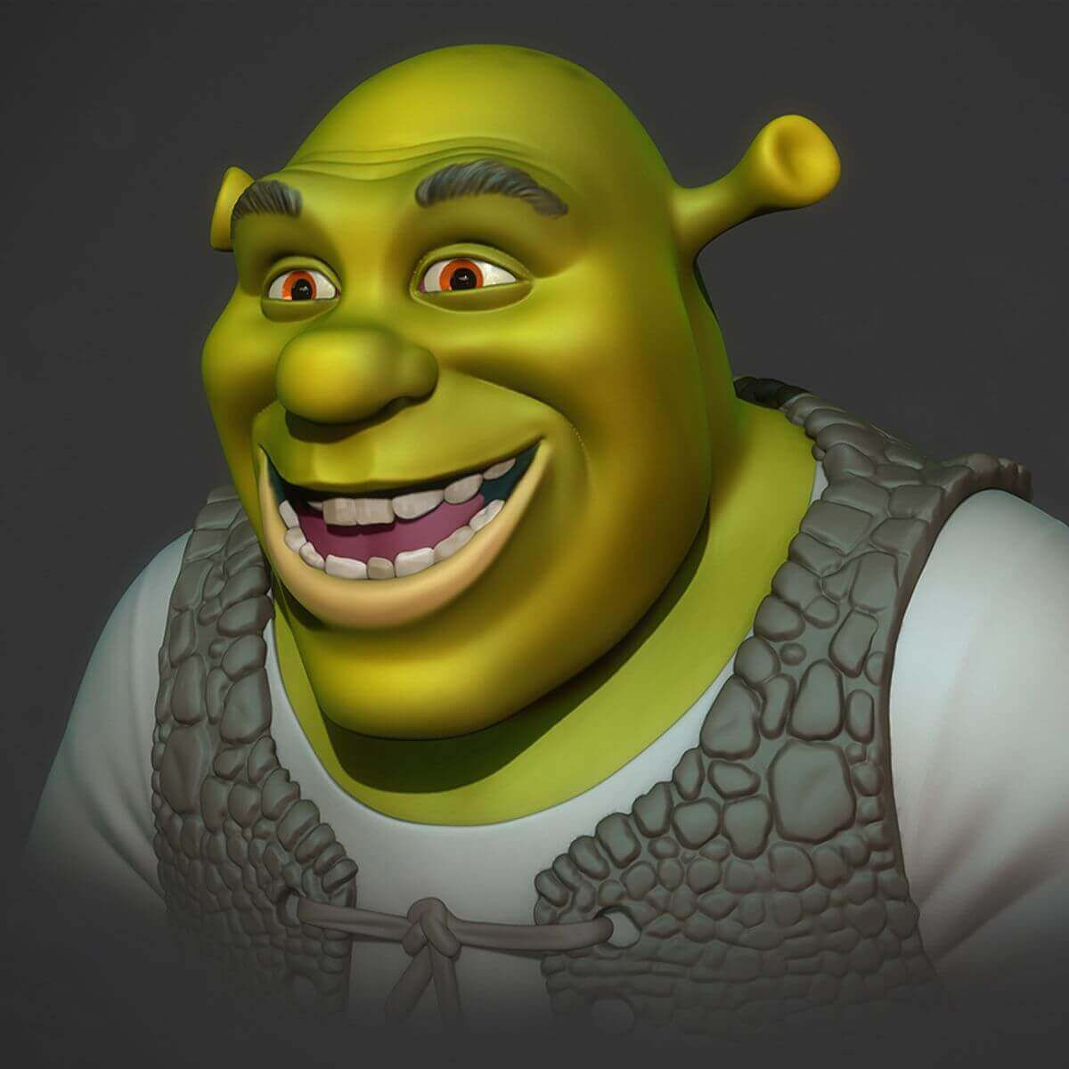 Wallpaper #11e69 Shrek Meme Templates Imgflip