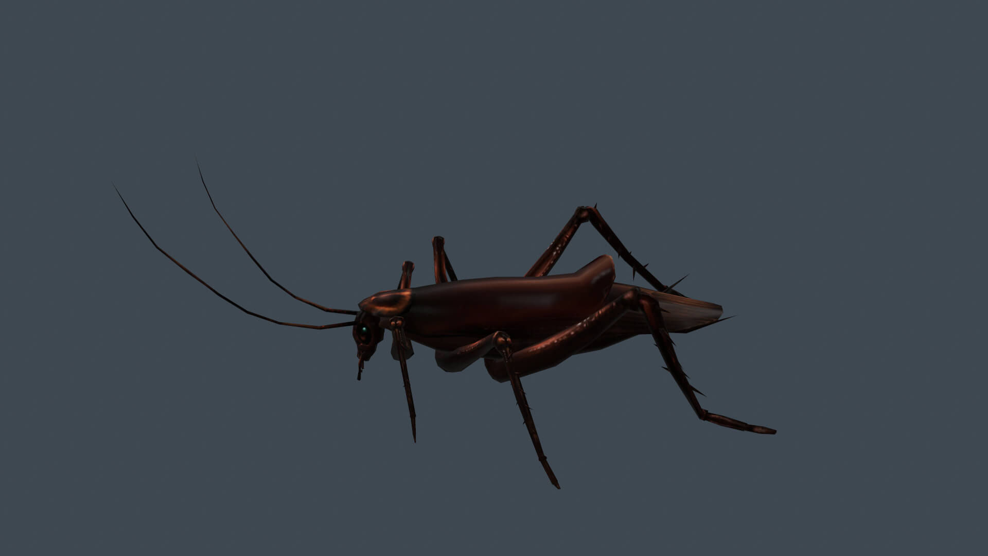 Wallpaper #SWdXCpMBSpphPi3-q9Qk42 Animated Cockroach 3D Model by Cg Bob