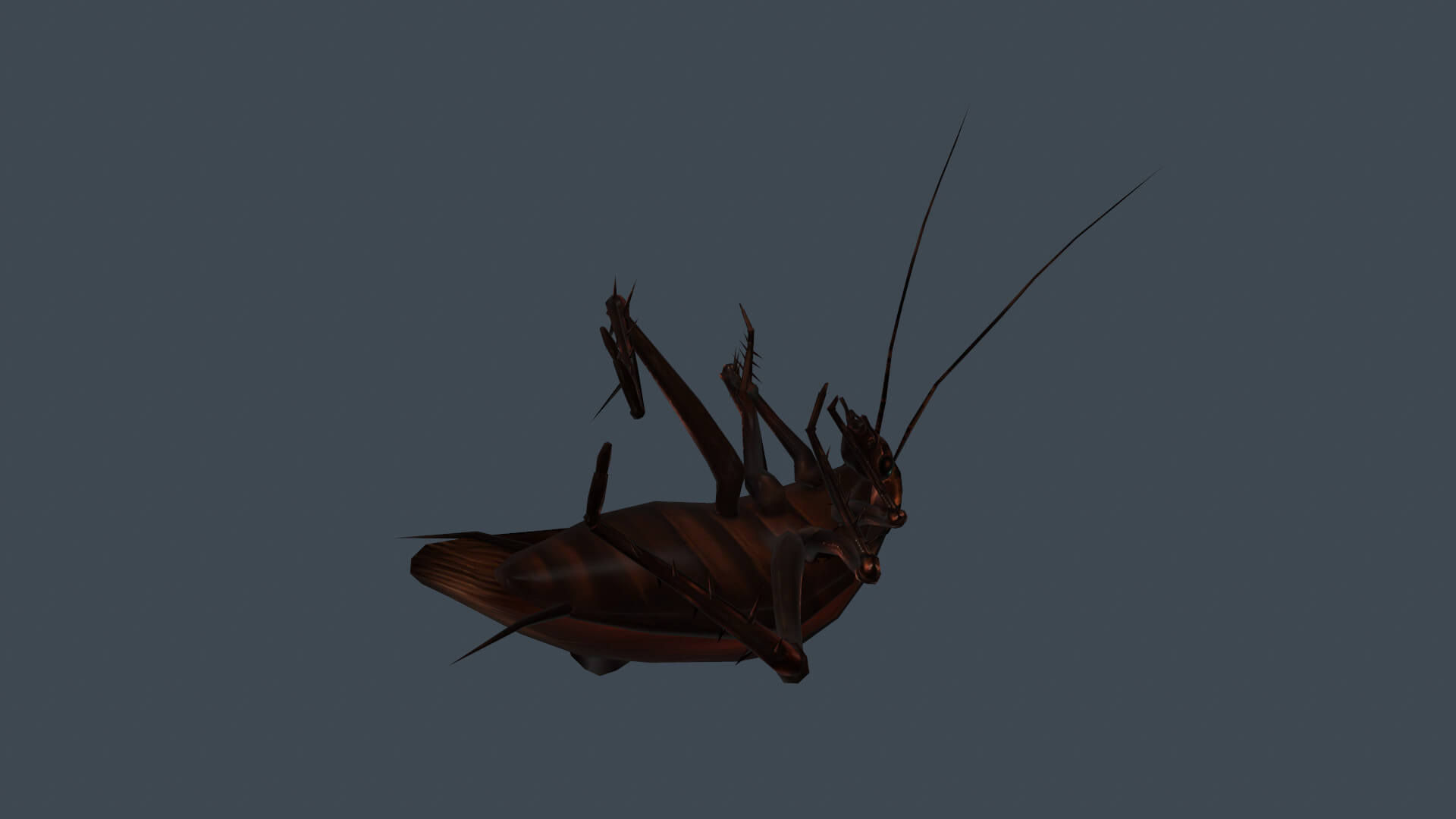 Wallpaper #SWdXCpMBSpphPi3-q9Qk79 Animated Cockroach 3D Model by Cg Bob