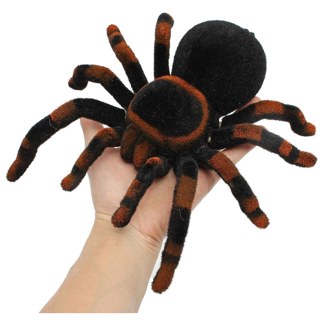 Wallpaper #1fQOOpMBKFX8bn3r-3cr2 8 Rc Remote Controlled Spider Remote Control Spider Toy Gift