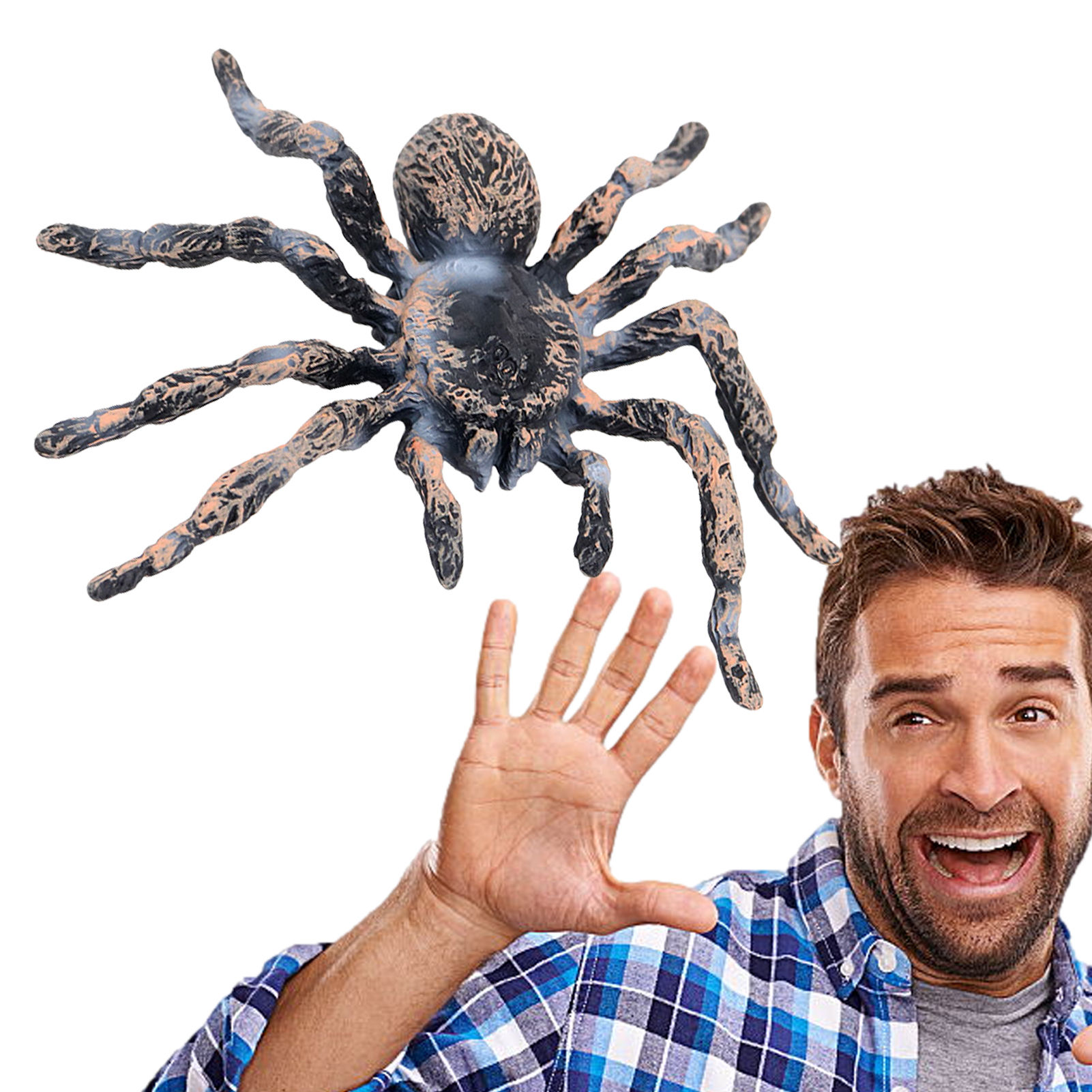 Wallpaper #GfQnOpMBKFX8bn3r3Xh849 Giant Spider Action Models Fake Spiders Spider Toys Gags