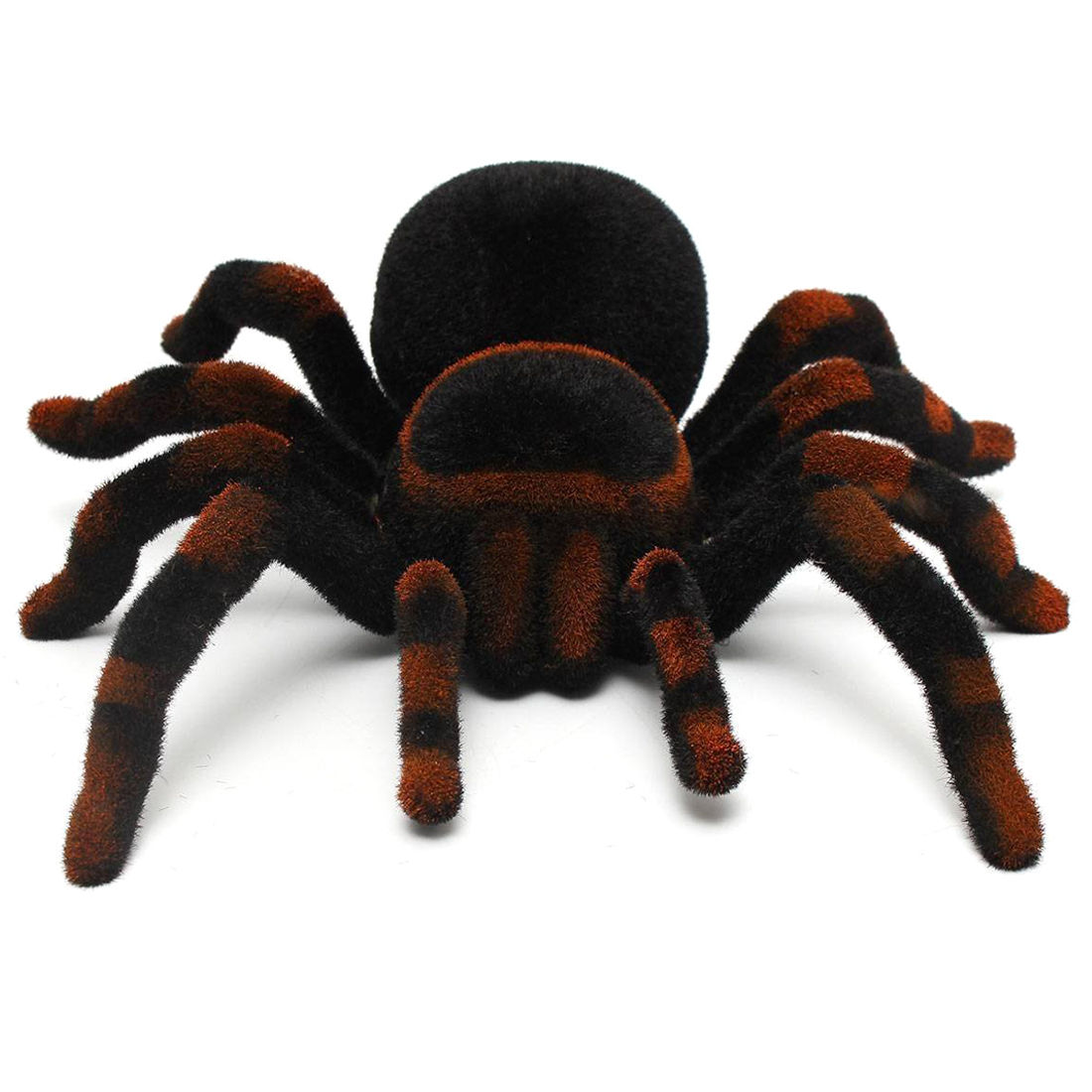 Wallpaper #GfQnOpMBKFX8bn3r3Xh824 Aliexpresscom Buy 8 Rc Remote Controlled Spider Remote Control