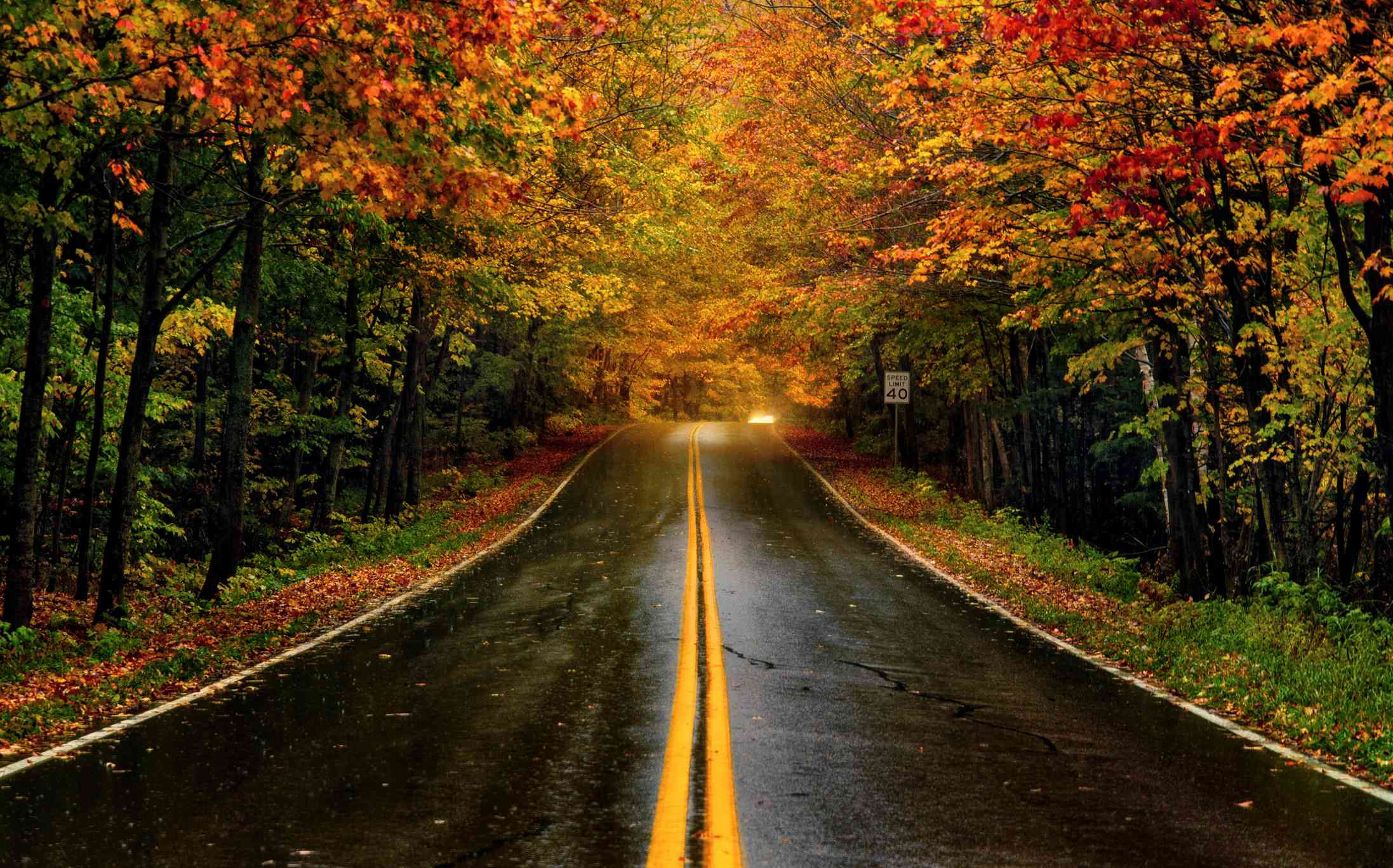 Wallpaper #rWgUHJMBSpphPi3-8SFd219 Best Fall Foliage Drives in Vermont