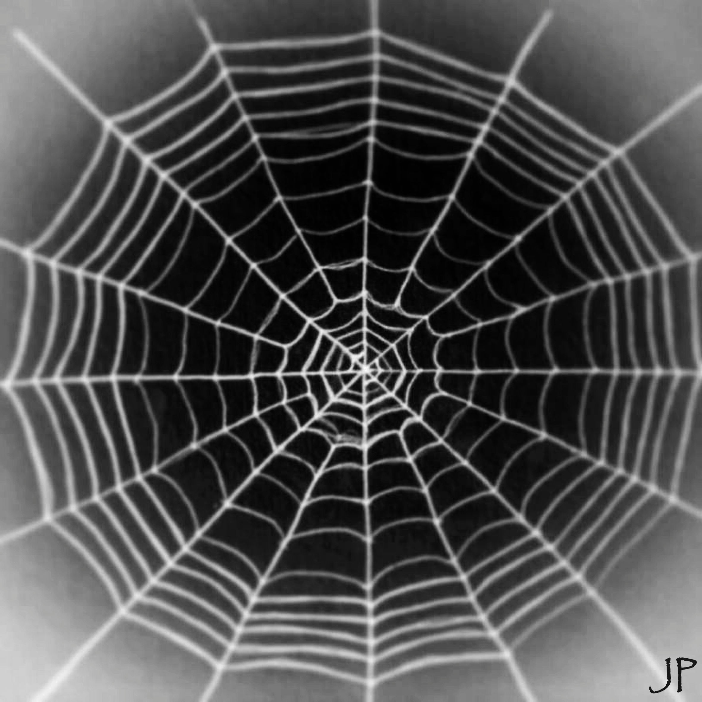 Wallpaper #P-bVMpMBA7IOc3WmdhKX320 Should We Really Fear Spider Webs at Halloween Bwscience