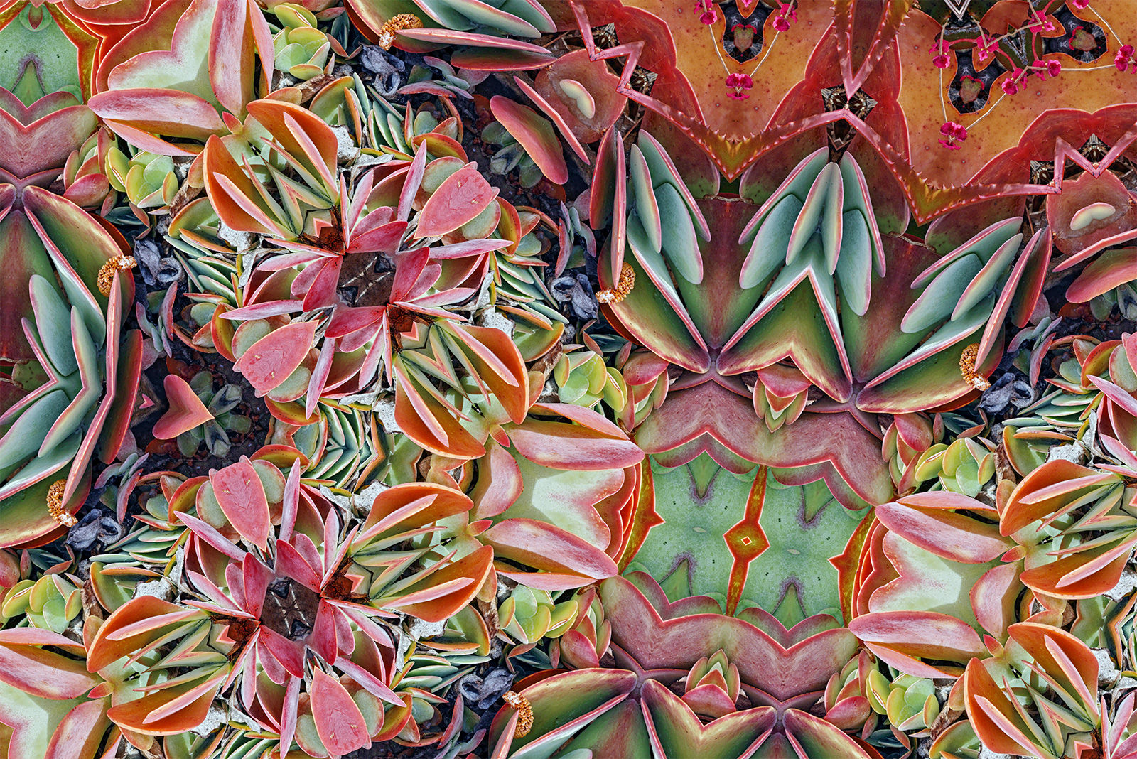 Wallpaper #3Gex85IBSpphPi3-v3Zj104 Madbutter Inc Digital Fine Art Prints
