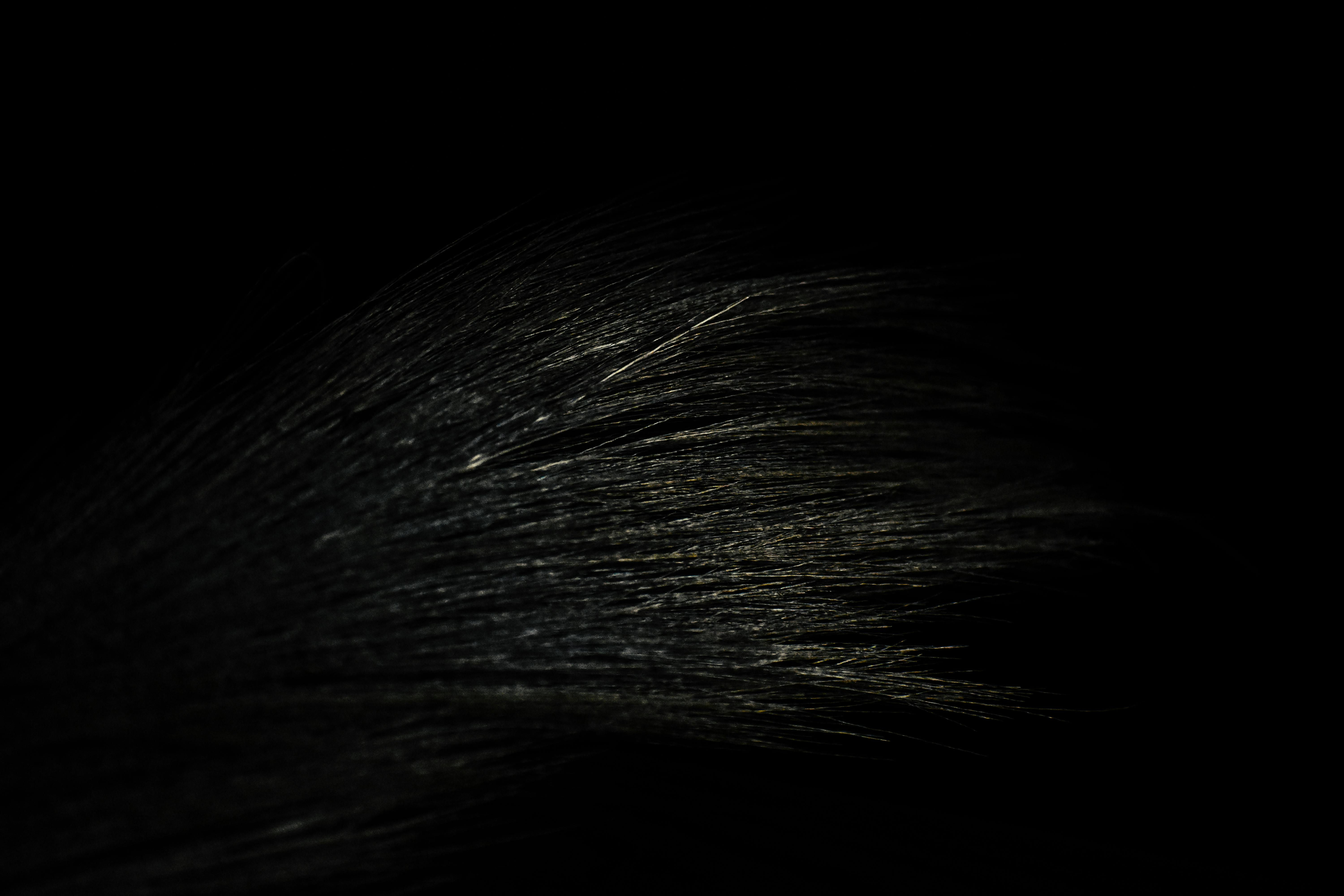 Wallpaper #wmeBEpMBSpphPi3-FPu-274 Free Stock Photo of Black Shadows