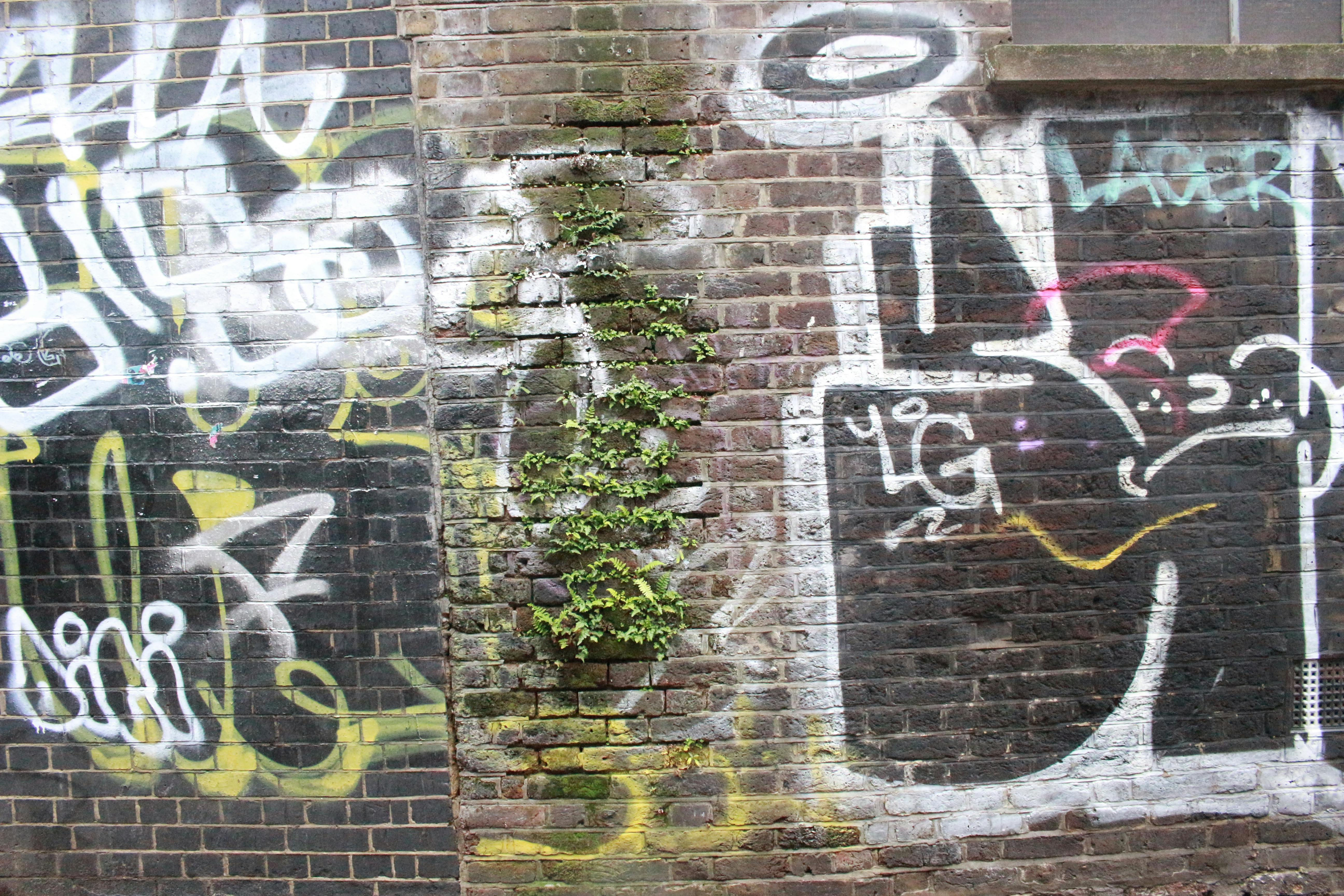 Wallpaper #77568 Graffiti Brick Wall Sublimation Clipart Png 21444163 Png