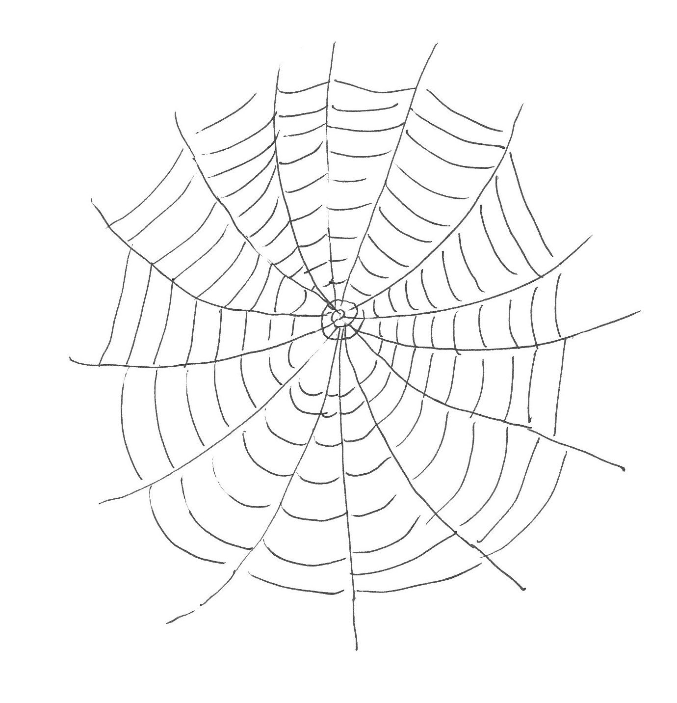 Wallpaper #sQMhZJMBpyOg8YnEWNZf43 Printable Spider Web Coloring Pages for Kids Cool2bkids Free