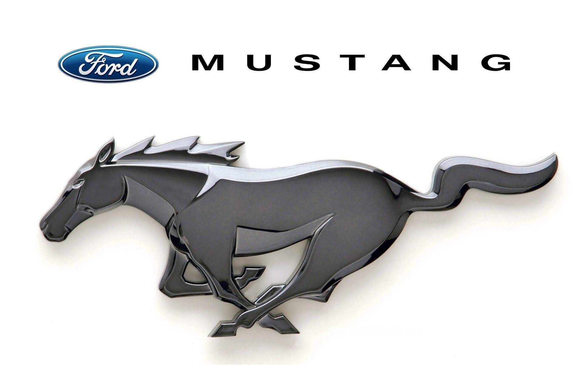 Wallpaper #58D65 Ford Mustang Vinyl Decal Etsy Israel