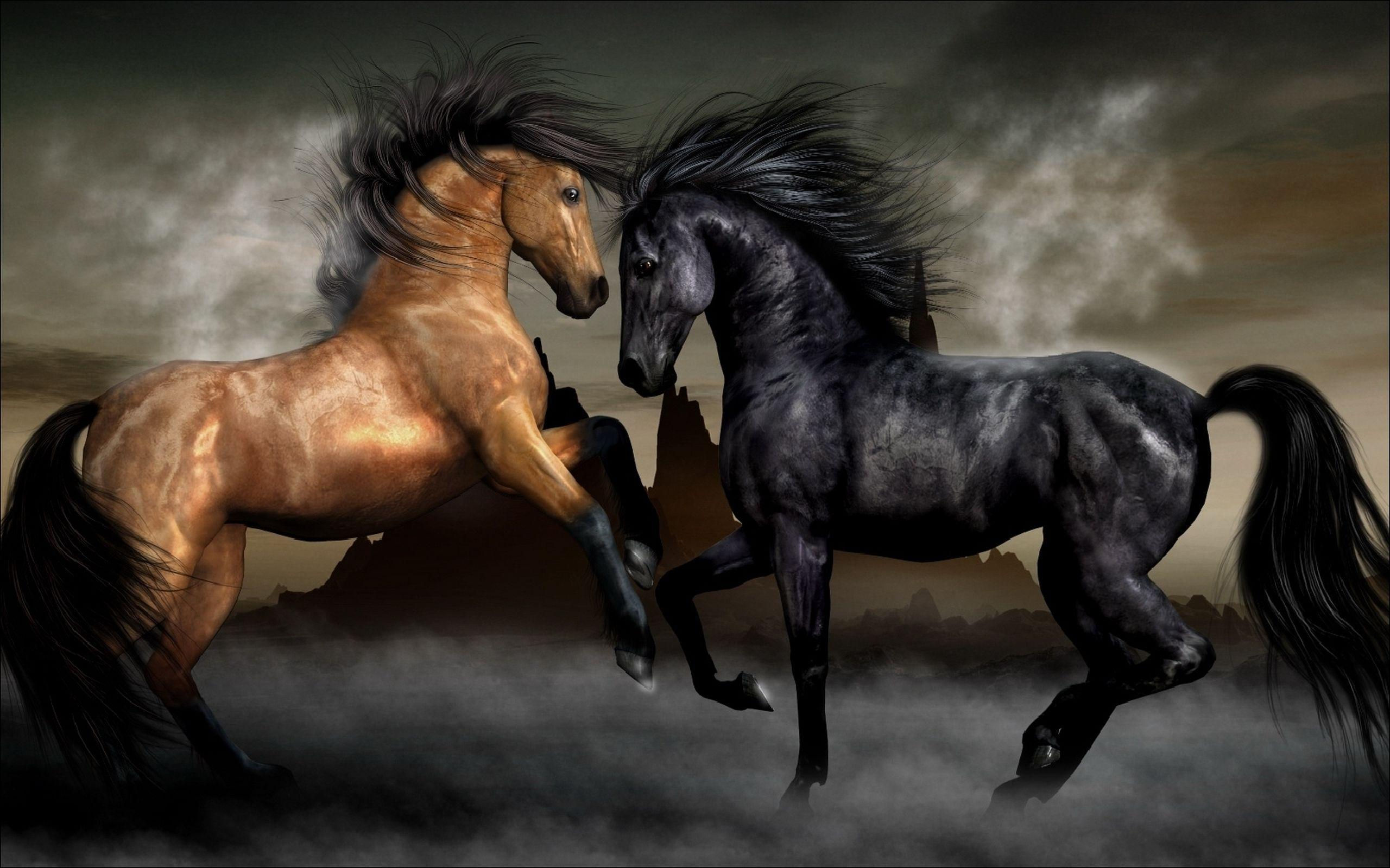 Wallpaper #bWfaEpMBSpphPi3-4_0h81 Black Horse Wallpapers Wallpaper Cave