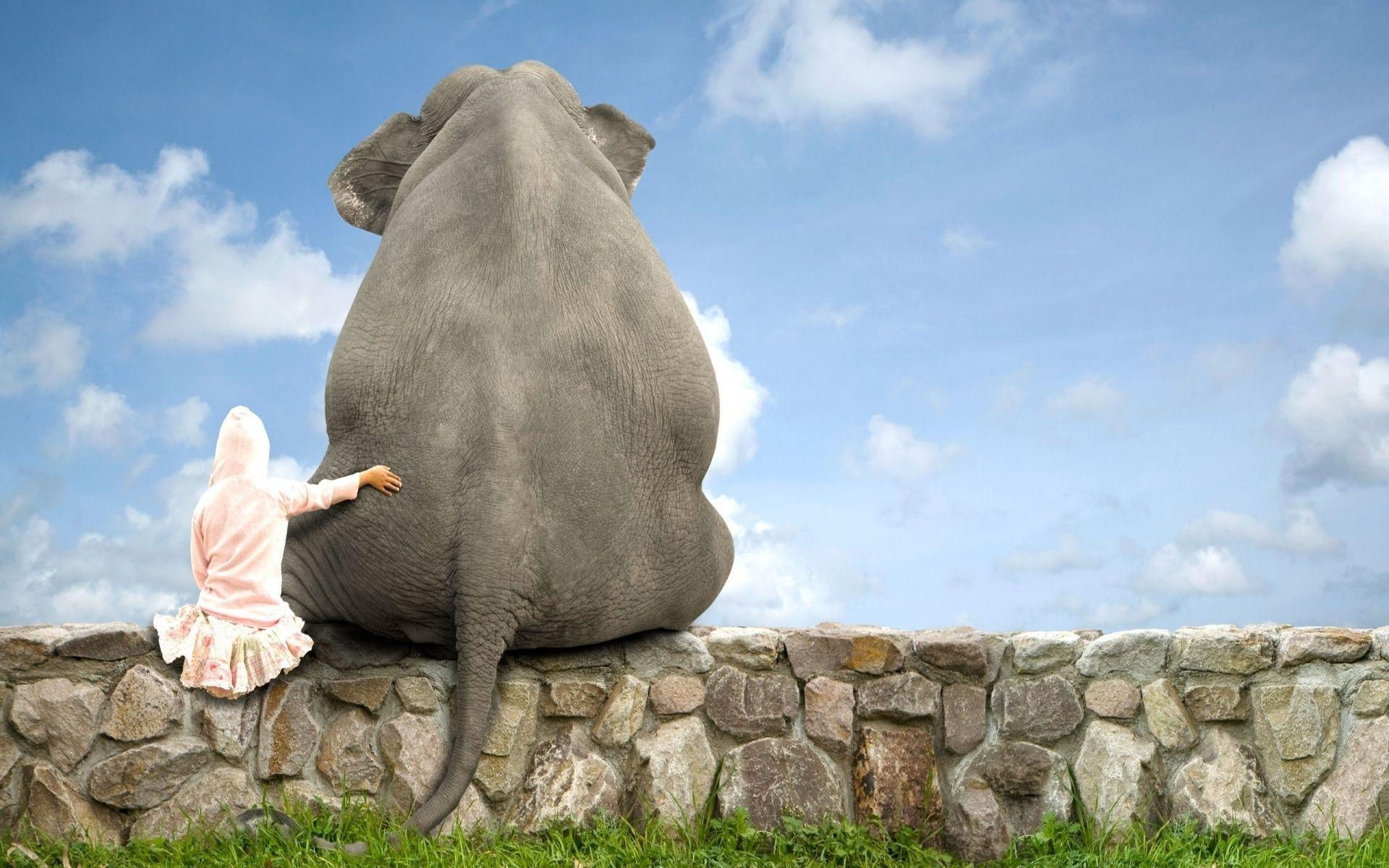 Wallpaper #sHfNJ5MB-pgBXx60h6cK125 Elephant Desktop Wallpapers Wallpaper Cave
