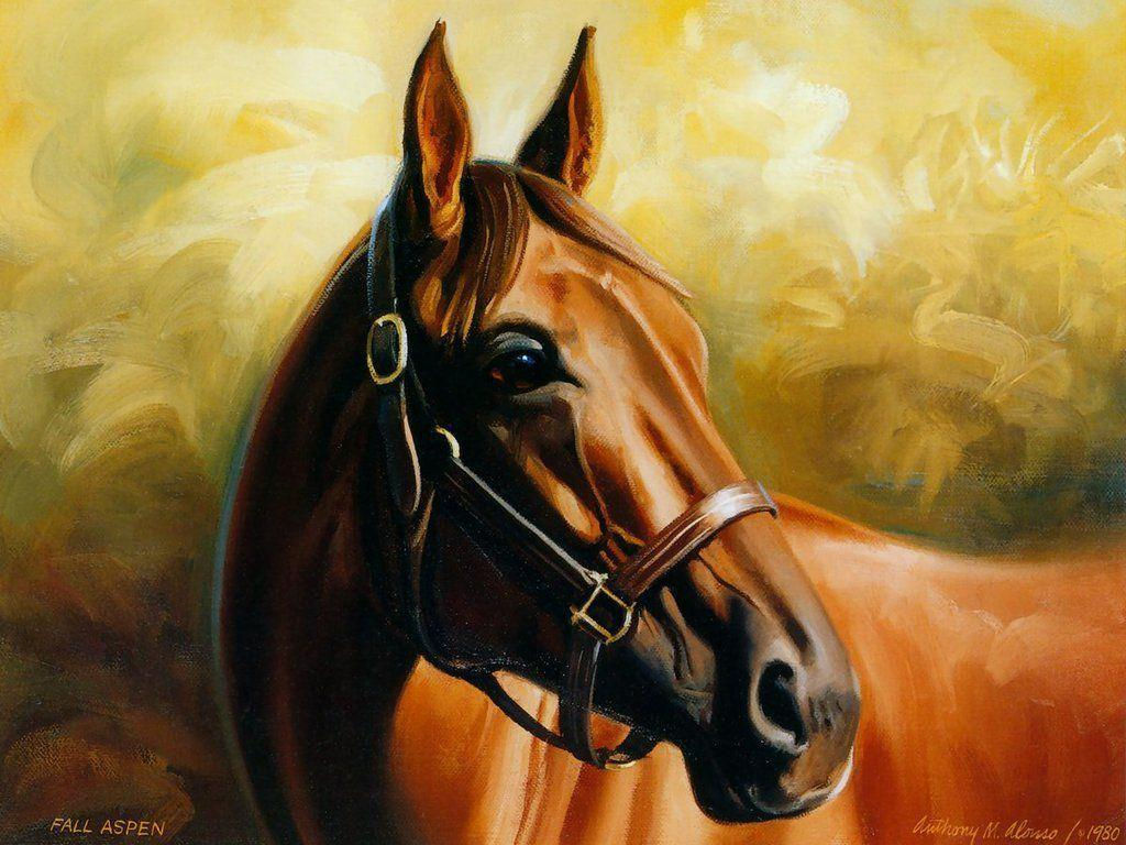 Wallpaper #Ln1h8I4Bnwiau_P6-Aaj20 Free Horse Screensavers and Wallpapers Wallpaper Cave