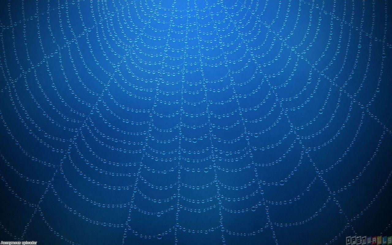 Wallpaper #1XTLyY4B_8f4nGFasnPe51 Spider Web Backgrounds Wallpaper Cave