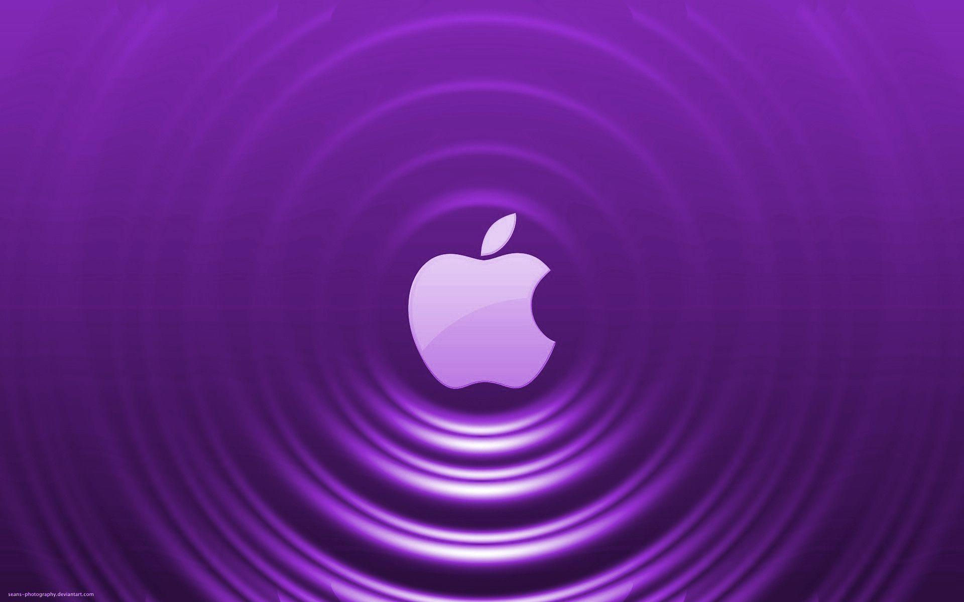 Wallpaper D6AF0 Purple Apple Wallpapers Wallpaper Cave HD Wallpaper D6AF0